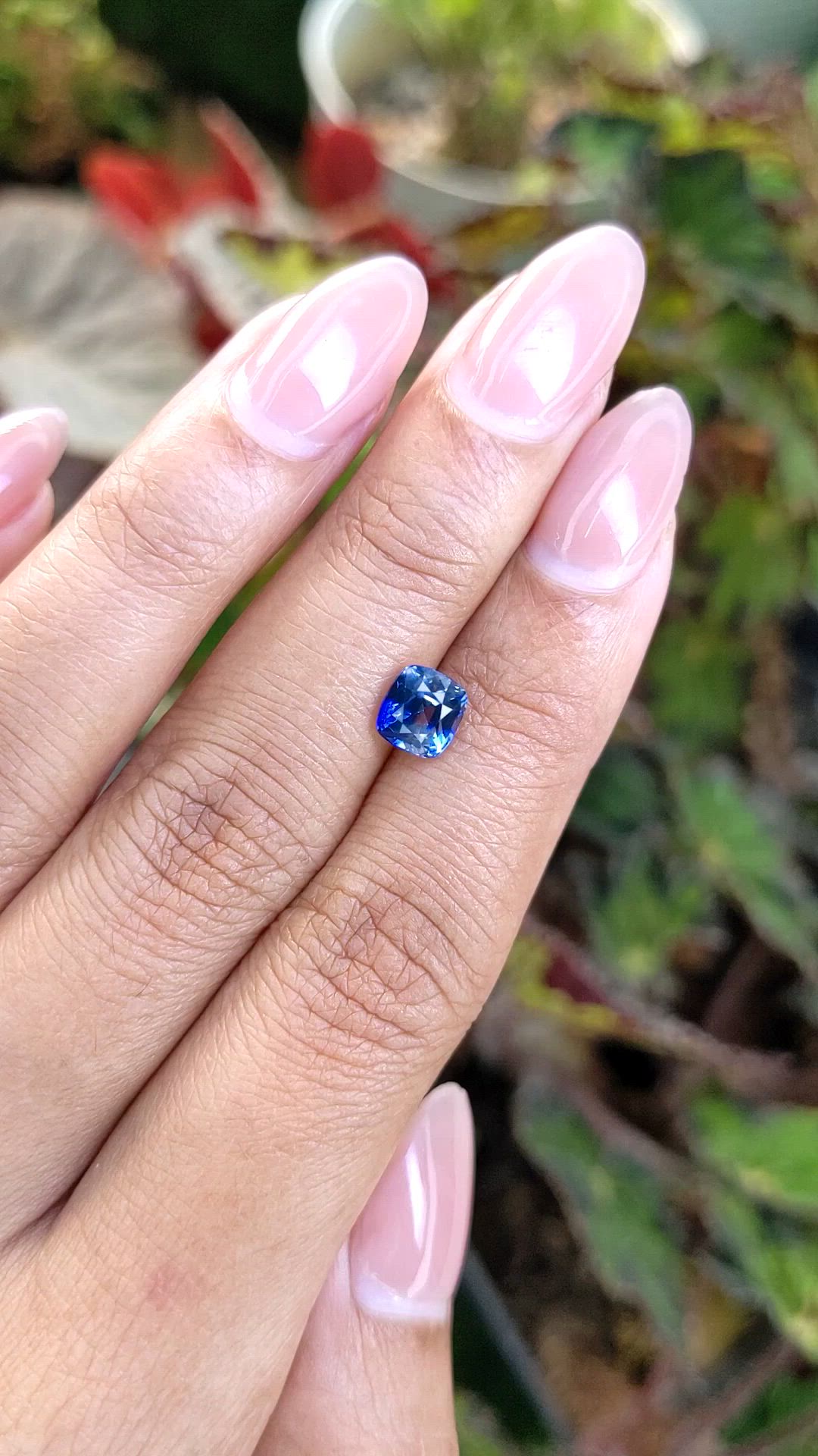1.57 Ct. Blue Sapphire from Ceylon (Sri Lanka) Size Video
