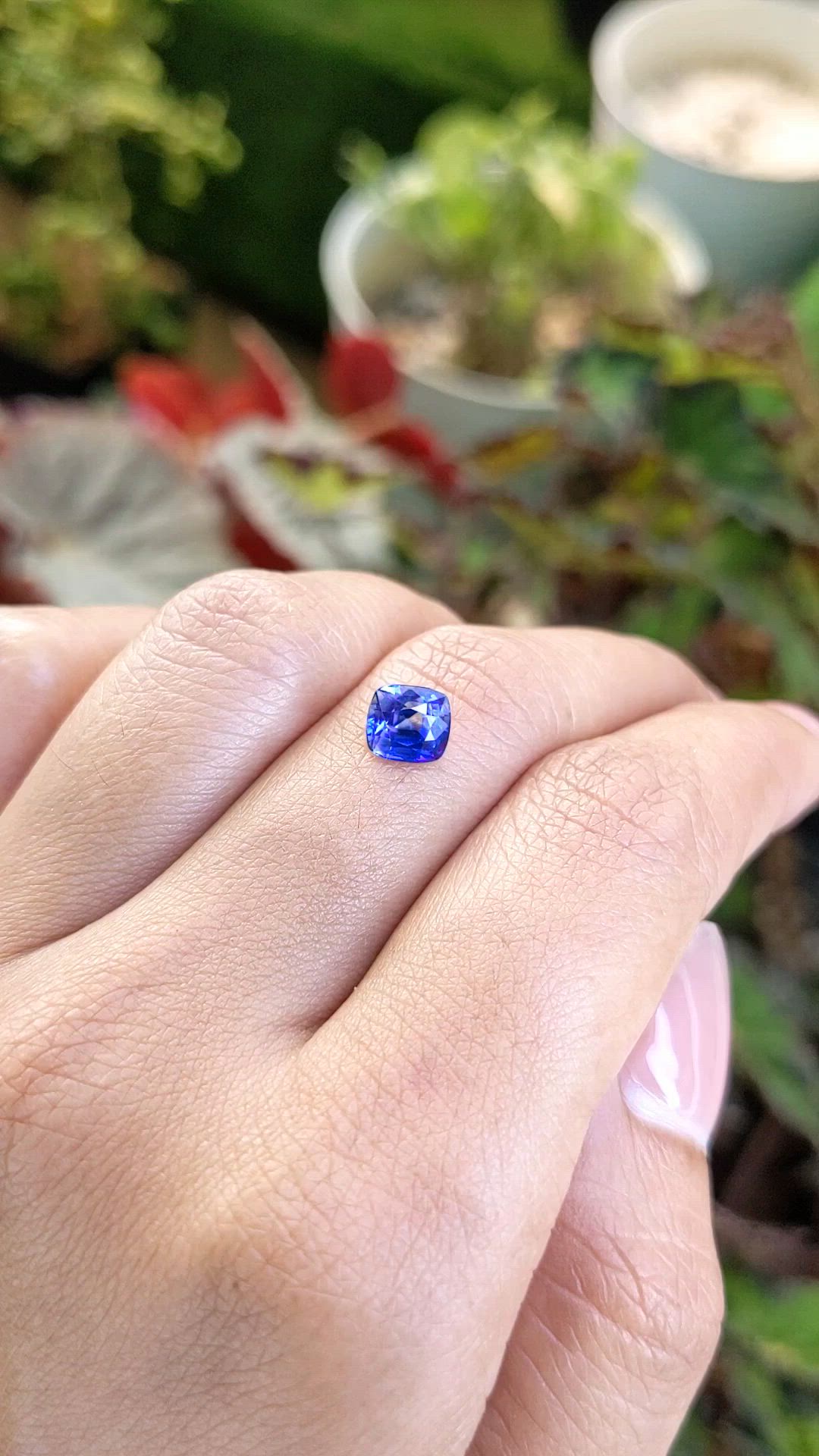 1.57 Ct. Blue Sapphire from Ceylon (Sri Lanka) Size Video