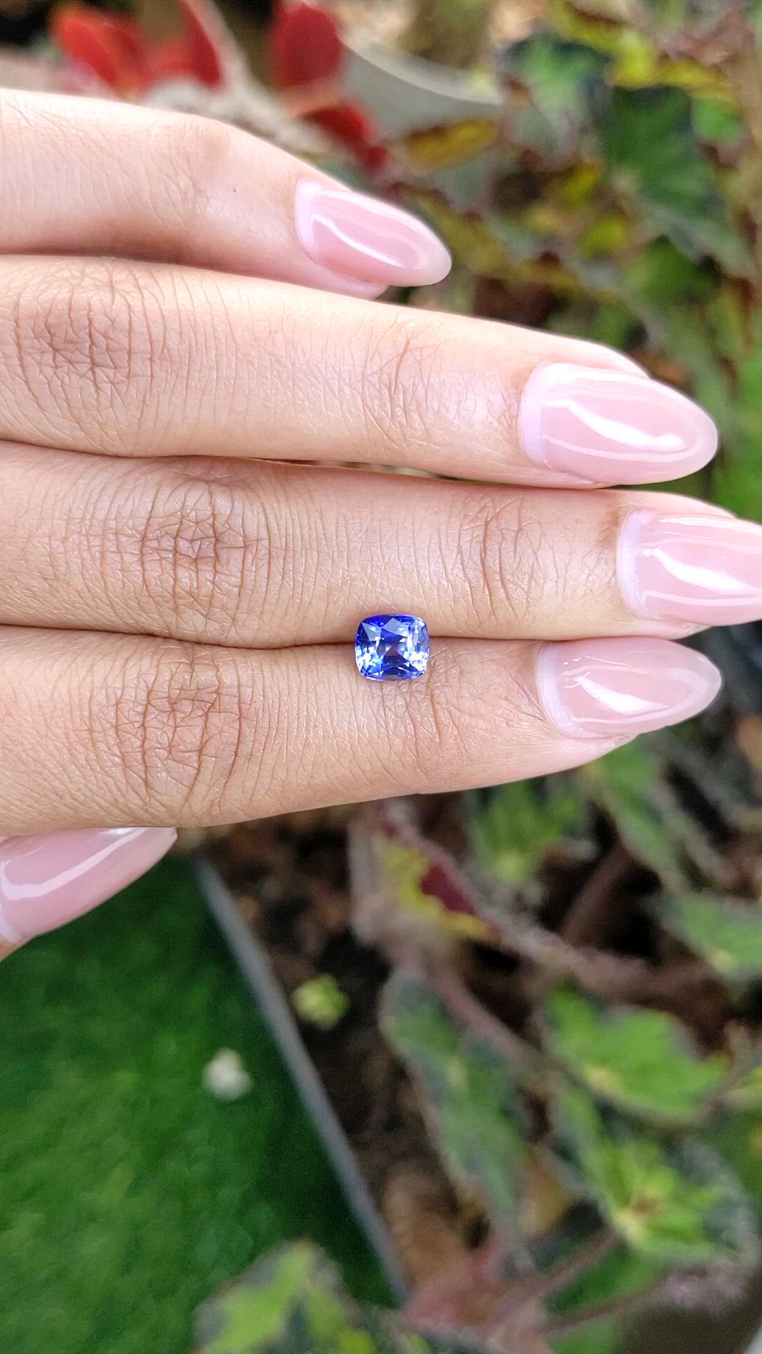 1.57 Ct. Blue Sapphire from Ceylon (Sri Lanka) Size Video