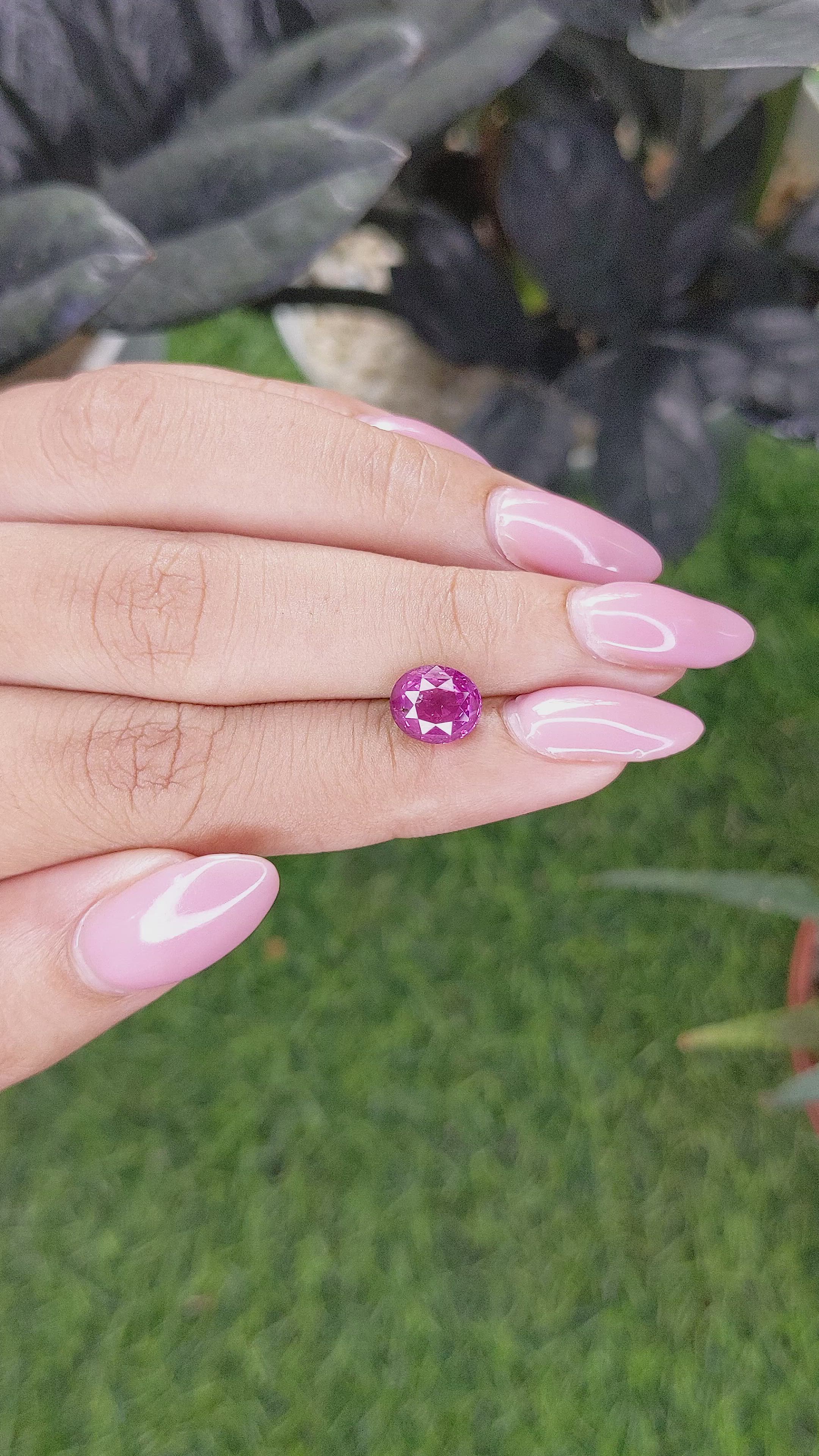 3.03 Ct. Purplish Pink Sapphire from Ceylon (Sri Lanka) Size Video