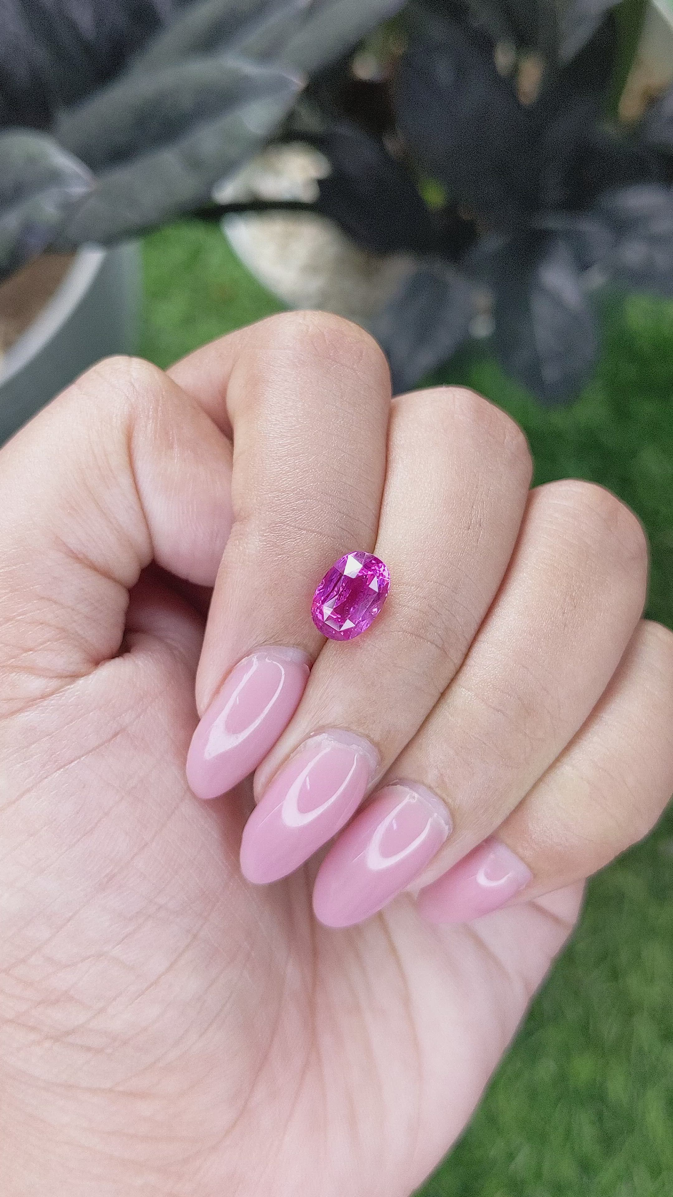 2.54 Ct. Purplish Pink Sapphire from Ceylon (Sri Lanka) Size Video