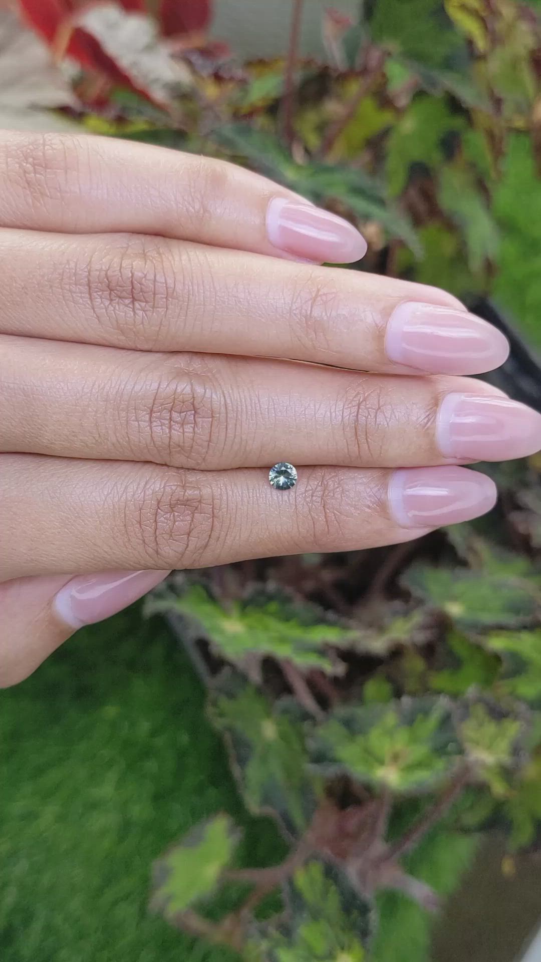 0.28 Ct. Yellowish Green Sapphire from Ceylon (Sri Lanka) Size Video