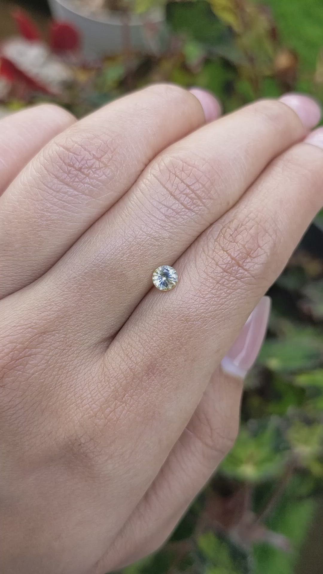 0.49 Ct. Bi Color / Parti Sapphire from Ceylon (Sri Lanka) Size Video