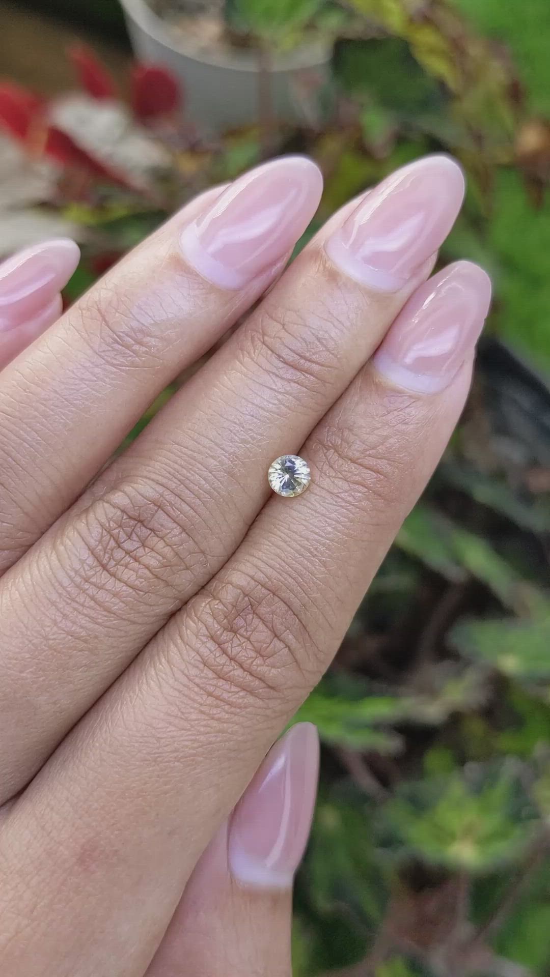 0.49 Ct. Bi Color / Parti Sapphire from Ceylon (Sri Lanka) Size Video