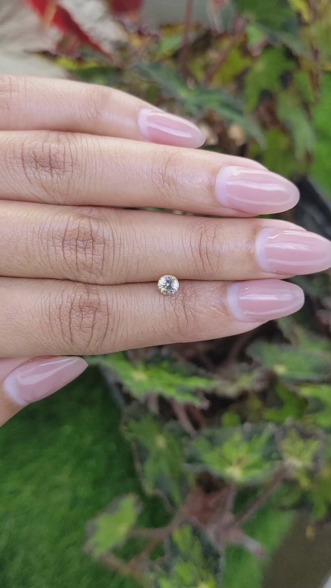 0.49 Ct. Bi Color / Parti Sapphire from Ceylon (Sri Lanka) Size Video