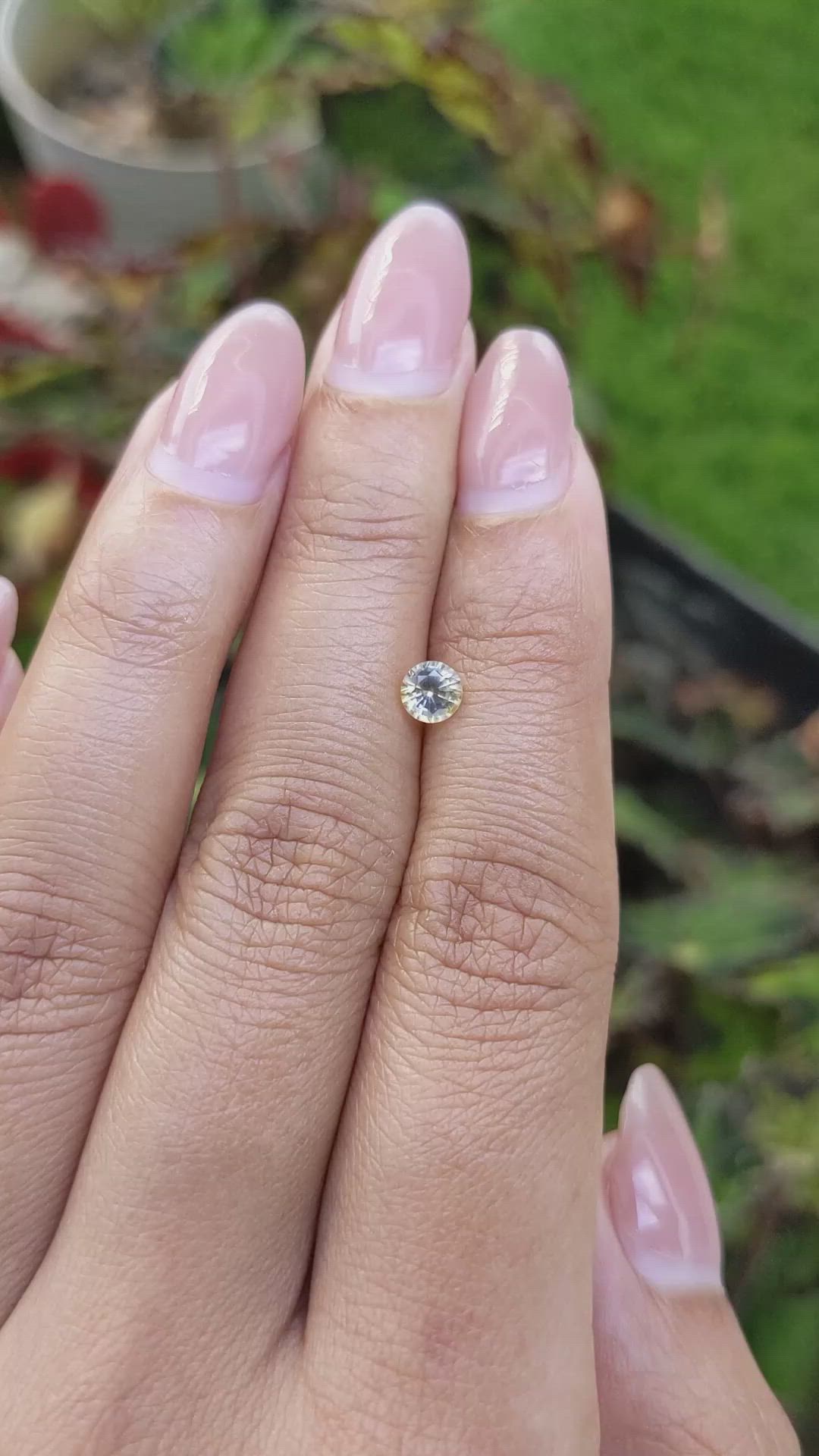 0.49 Ct. Bi Color / Parti Sapphire from Ceylon (Sri Lanka) Size Video
