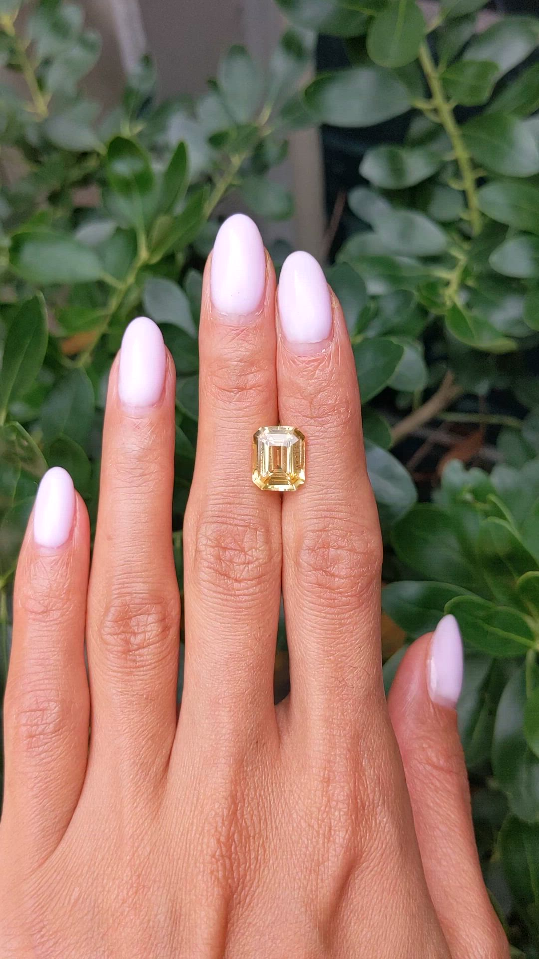5.18 Ct. Yellow Sapphire from Ceylon (Sri Lanka) Size Video
