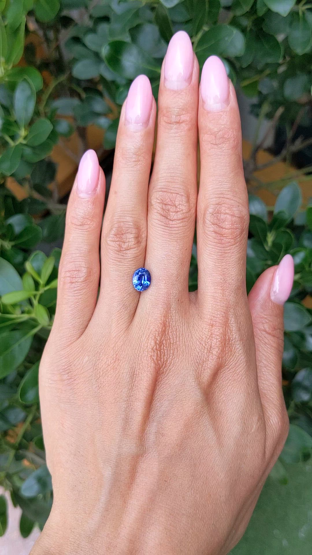 1.88 Ct. Blue Sapphire from Ceylon (Sri Lanka) Size Video