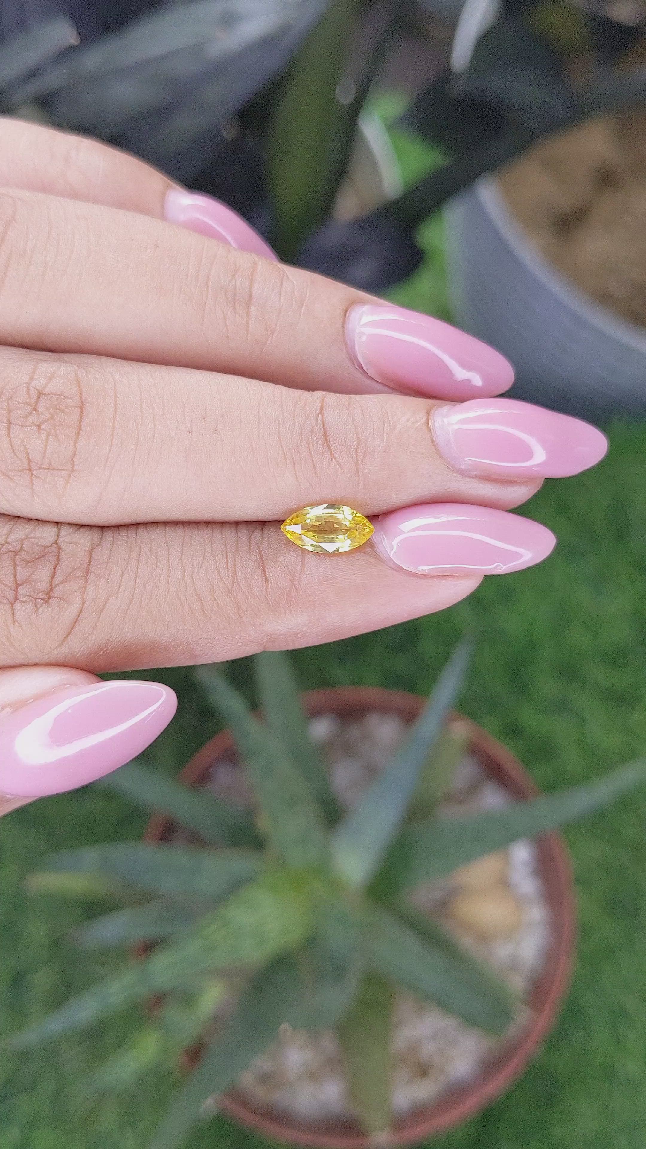 1.02 Ct. Yellow Sapphire from Ceylon (Sri Lanka) Size Video