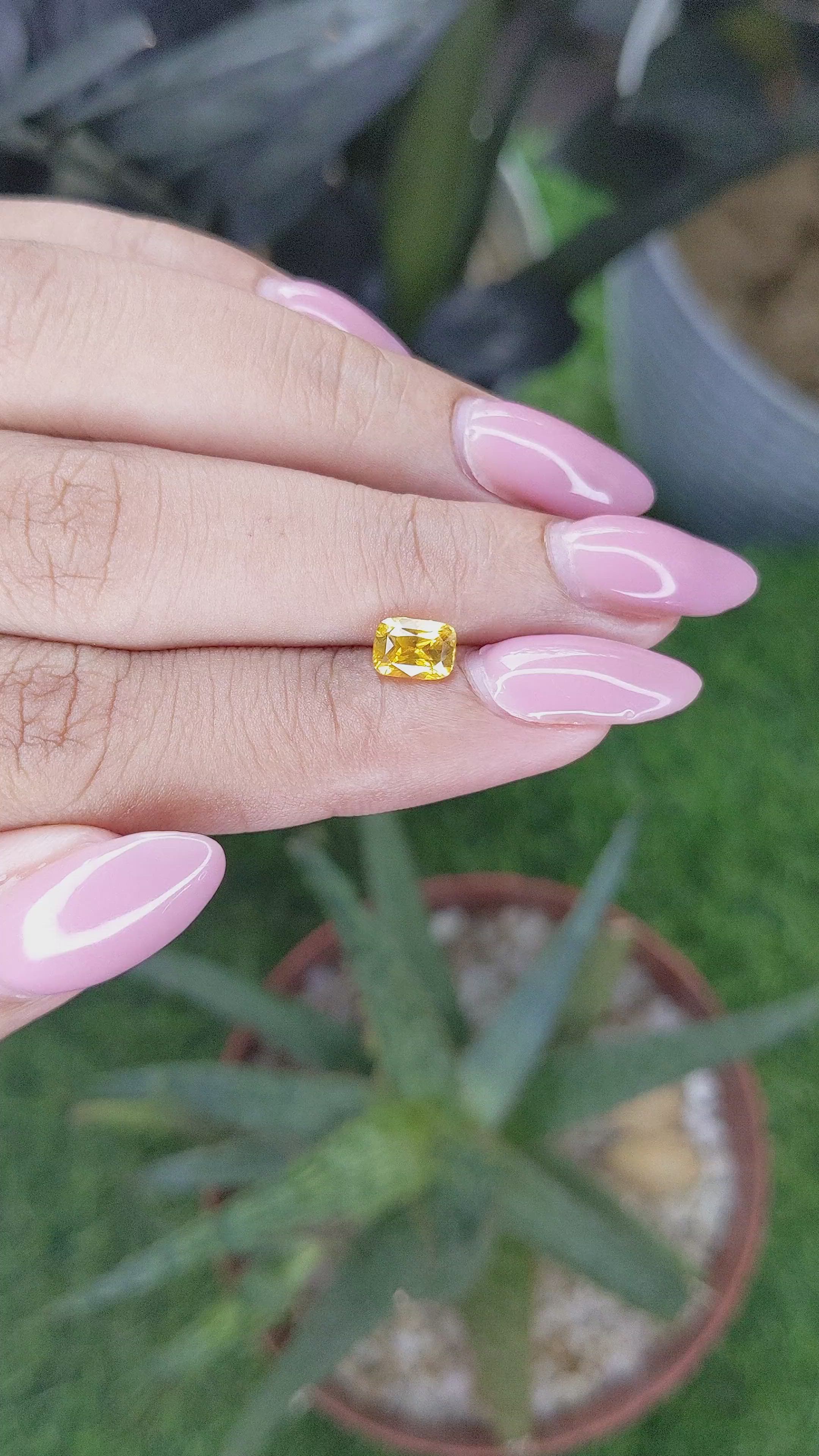 1.01 Ct. Yellow Sapphire from Ceylon (Sri Lanka) Size Video