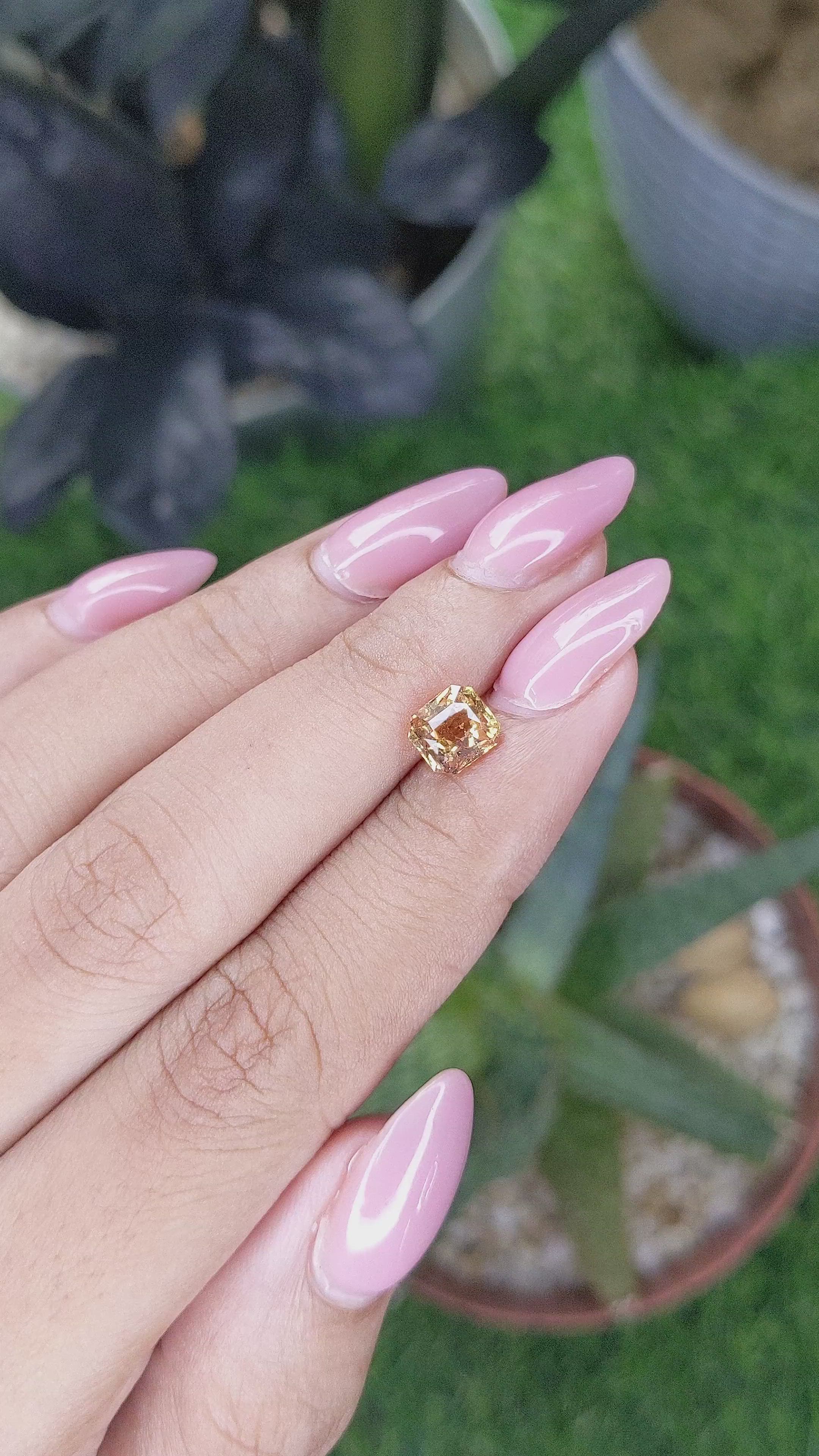 1.53 Ct. Yellow Sapphire from Ceylon (Sri Lanka) Size Video
