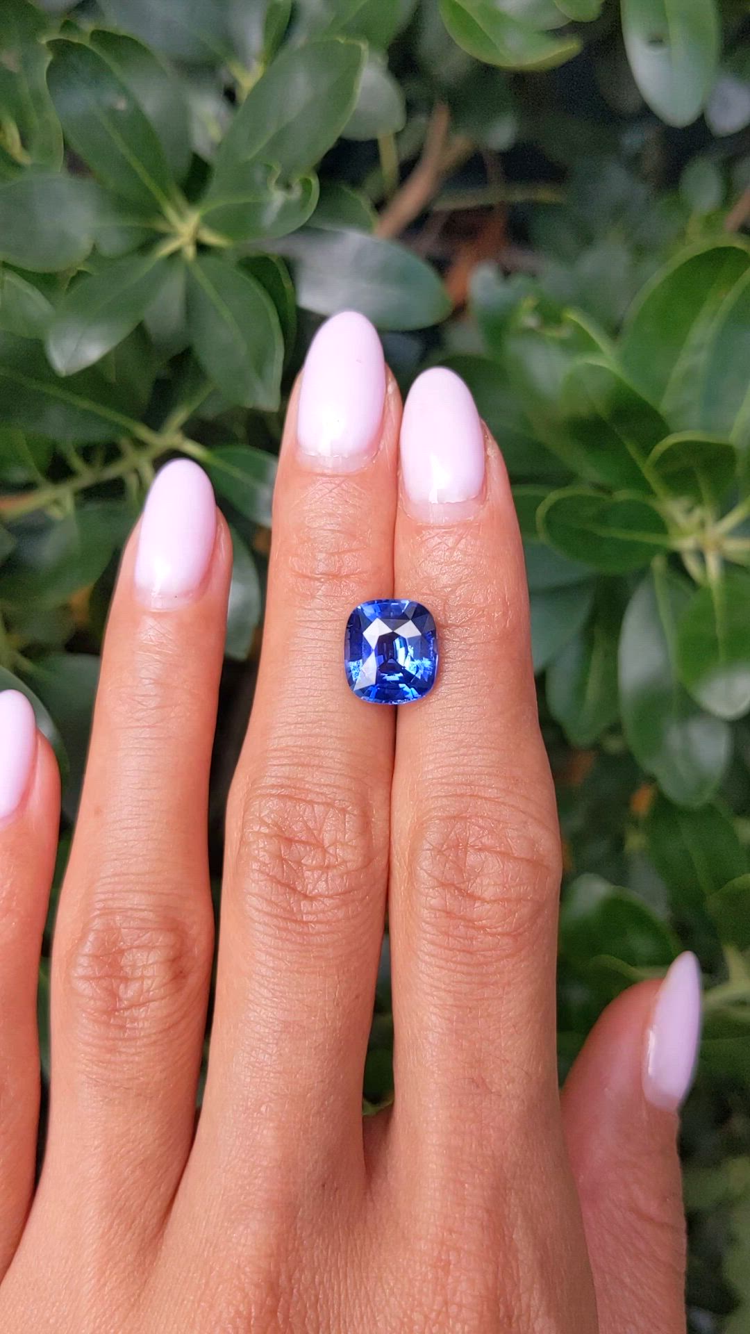 5.50 Ct. Blue Sapphire from Ceylon (Sri Lanka) Size Video