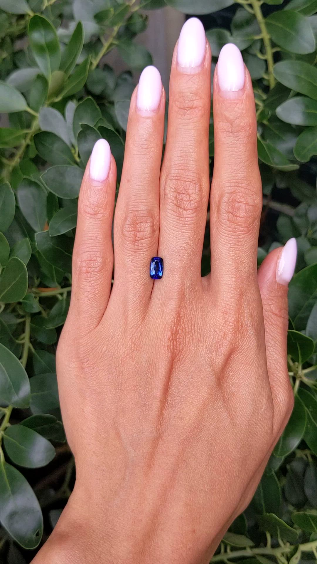1.15 Ct. Blue Sapphire from Ceylon (Sri Lanka) Size Video