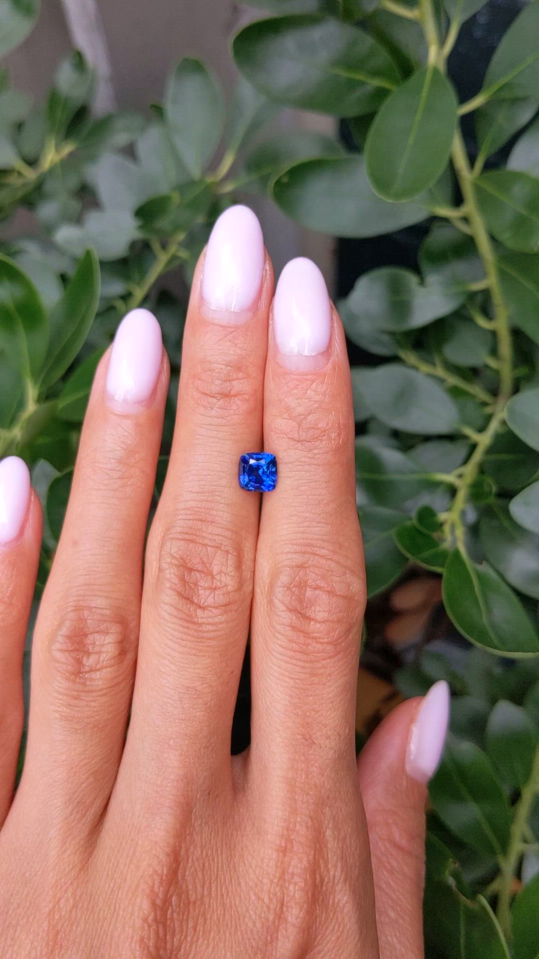 1.35 Ct. Blue Sapphire from Ceylon (Sri Lanka) Size Video