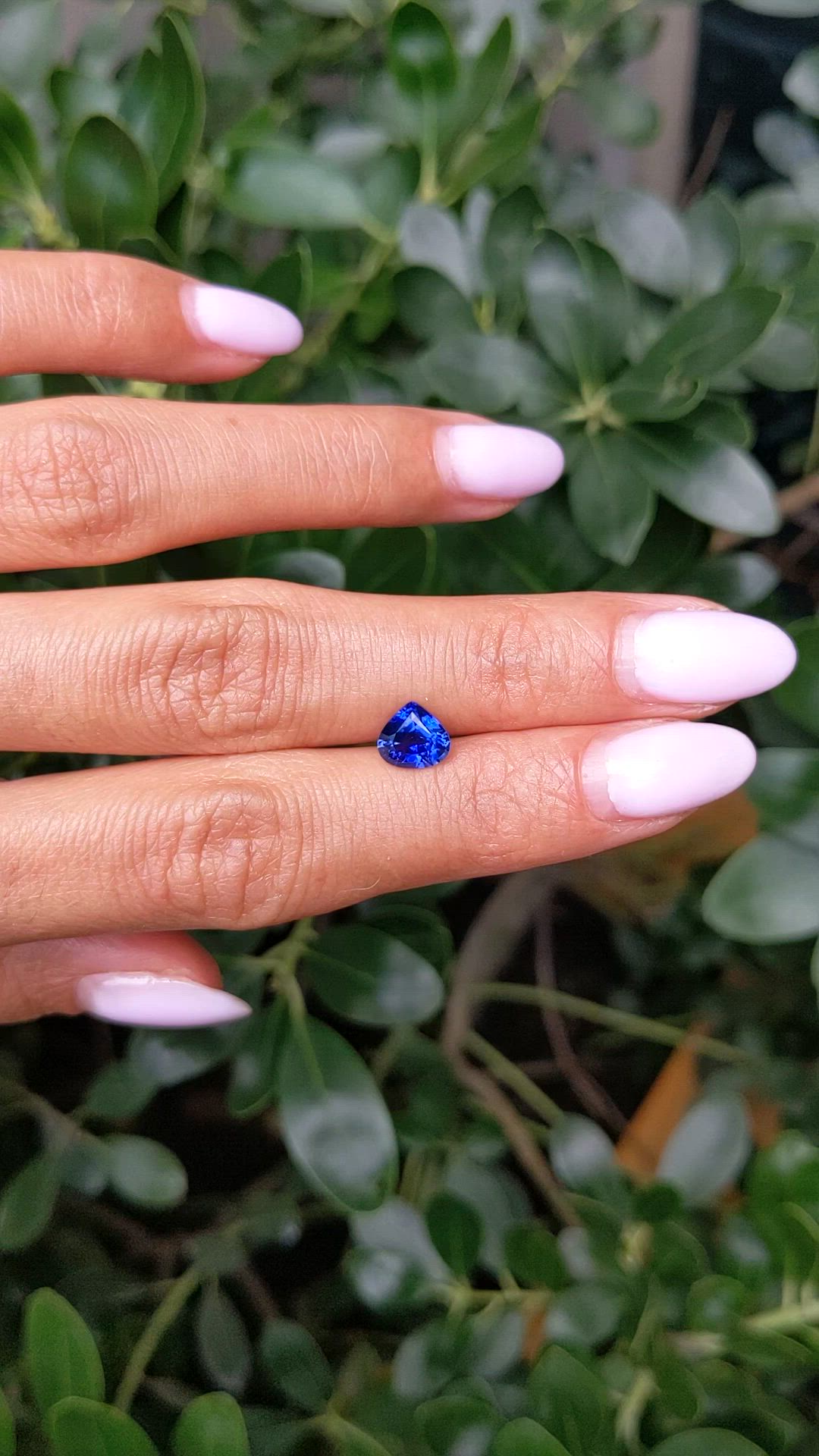1.27 Ct. Blue Sapphire from Ceylon (Sri Lanka) Size Video
