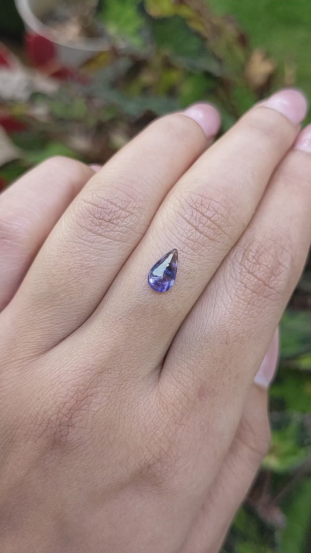 1.13 Ct. Bi Color / Parti Cabochon Sapphire from Ceylon (Sri Lanka) Size Video