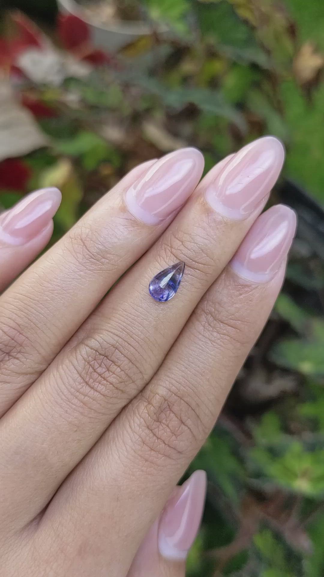 1.13 Ct. Bi Color / Parti Cabochon Sapphire from Ceylon (Sri Lanka) Size Video