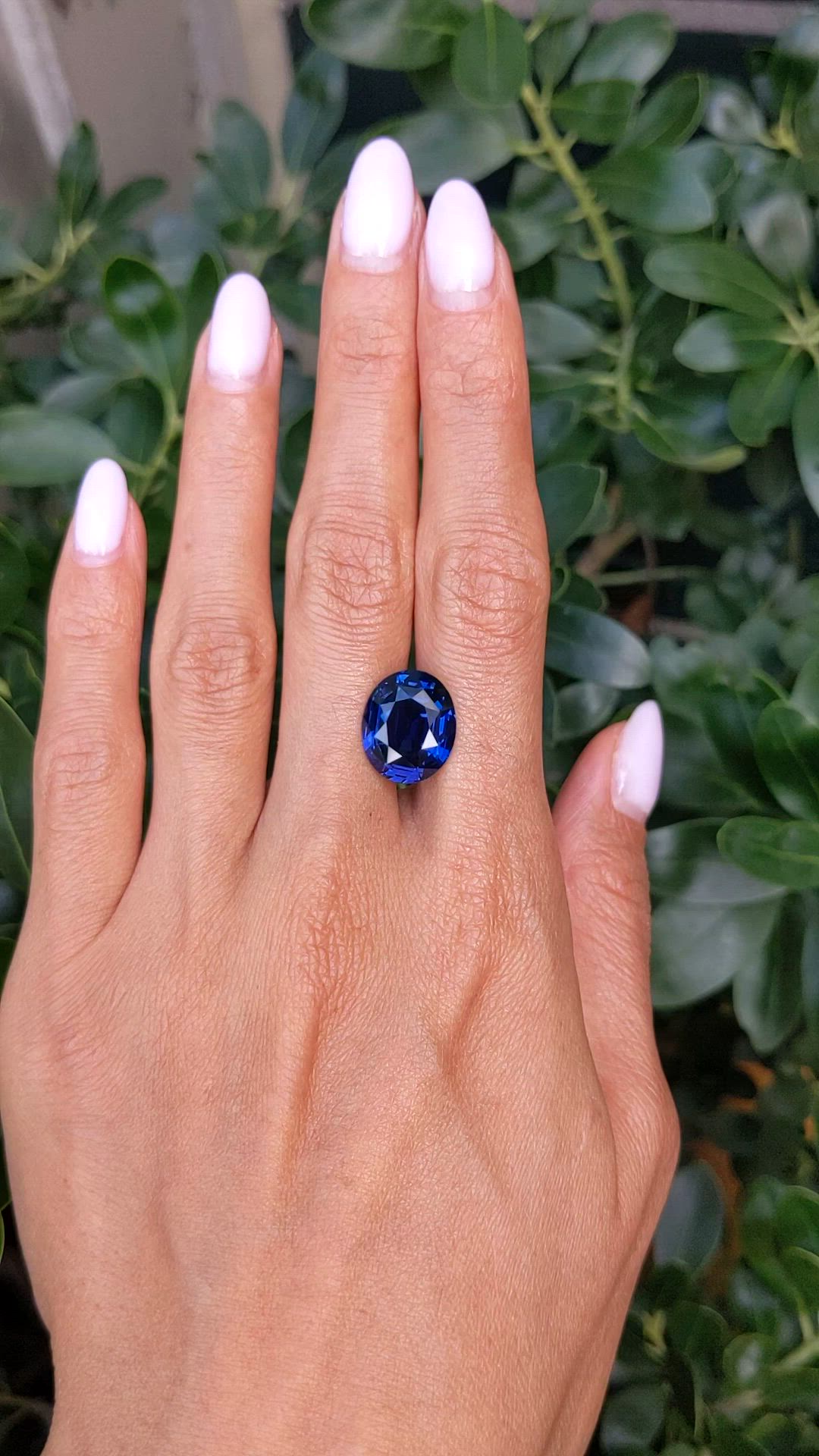 9.73 Ct. Blue Sapphire from Ceylon (Sri Lanka) Size Video