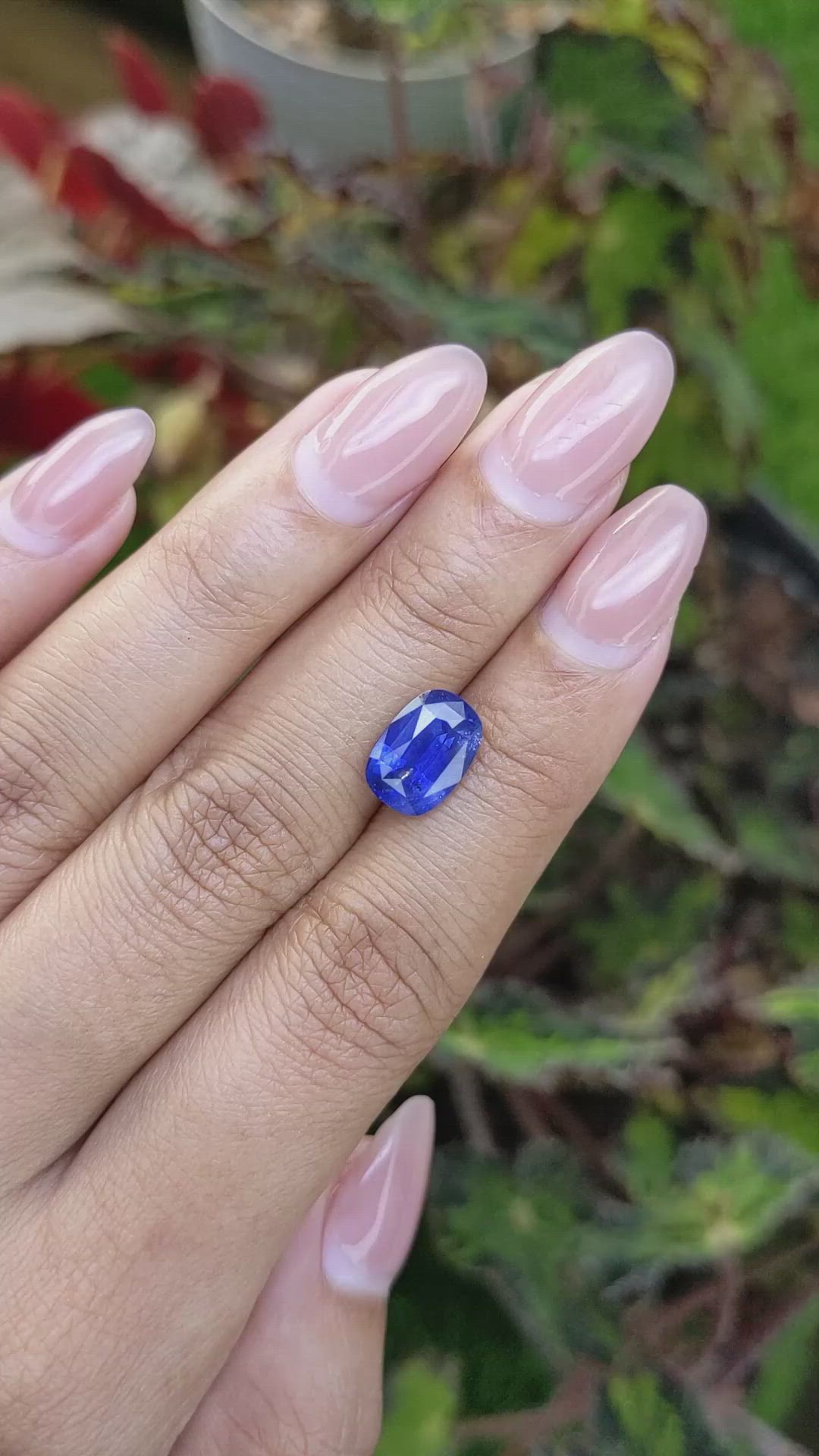 3.53 Ct. Blue Sapphire from Ceylon (Sri Lanka) Size Video