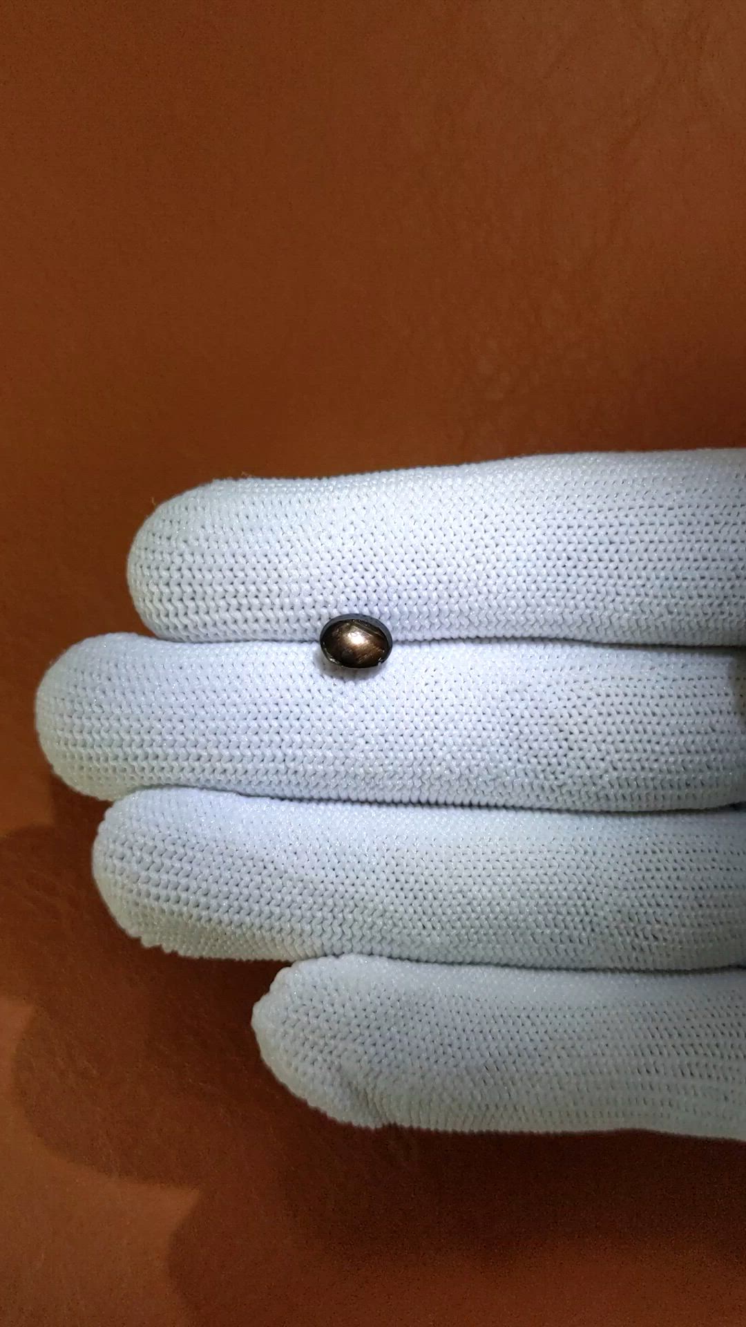 1.57 Ct. Black Cabochon Star Sapphire from Ceylon (Sri Lanka) Size Video