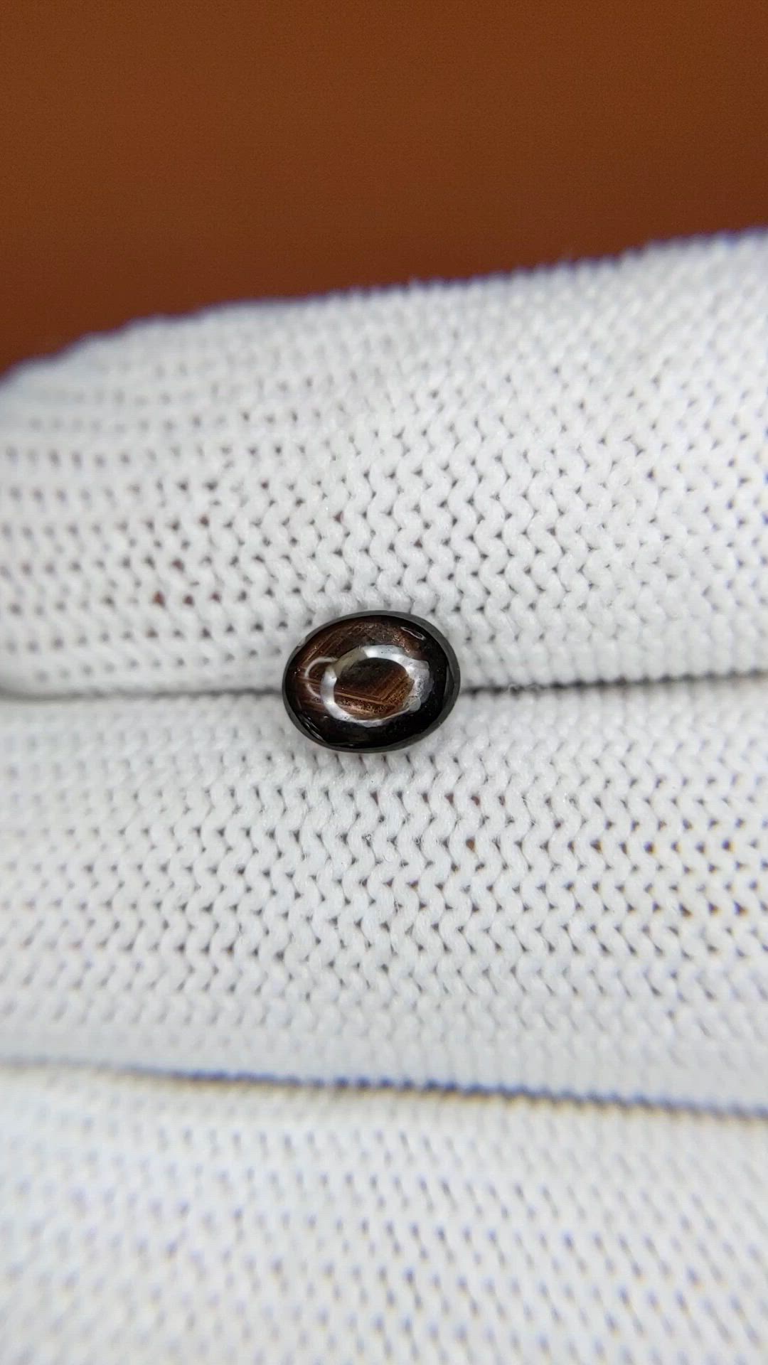 1.57 Ct. Black Cabochon Star Sapphire from Ceylon (Sri Lanka) Size Video