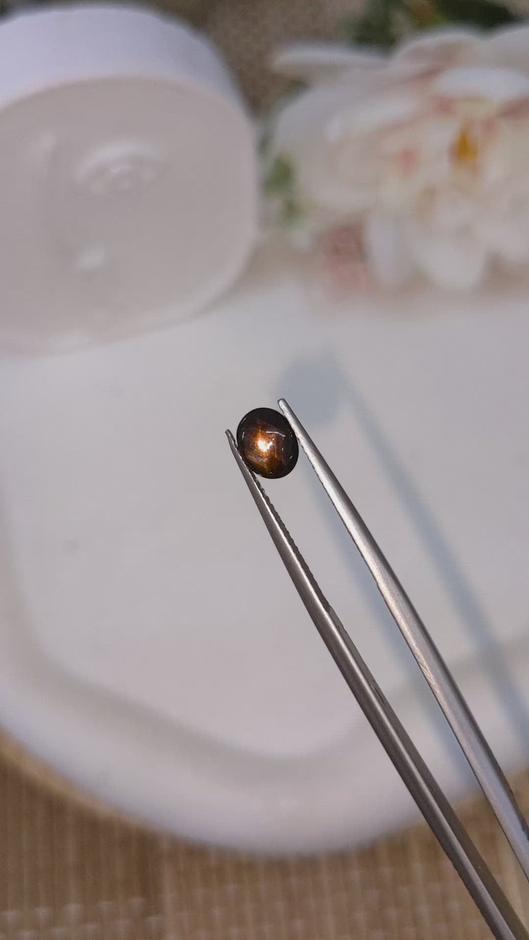 1.57 Ct. Black Cabochon Star Sapphire from Ceylon (Sri Lanka) Size Video