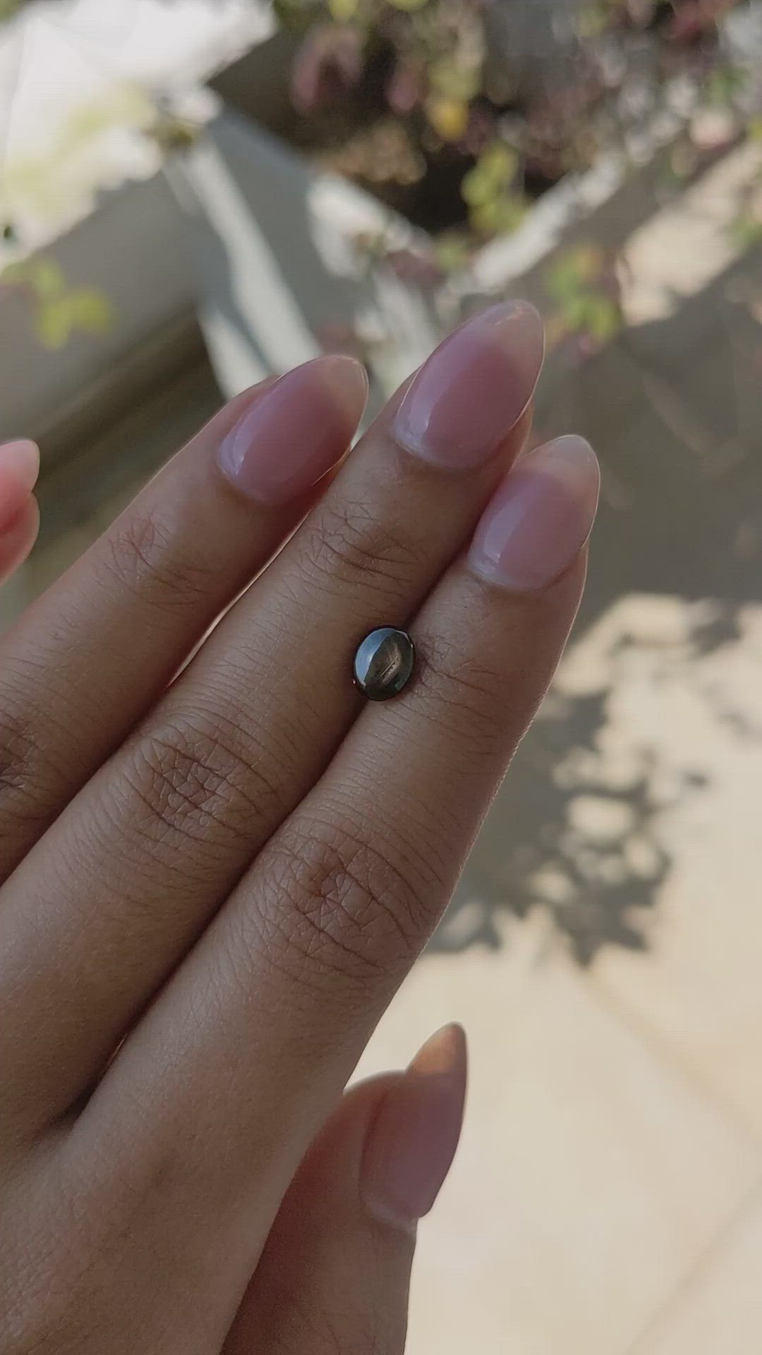 1.57 Ct. Black Cabochon Star Sapphire from Ceylon (Sri Lanka) Size Video