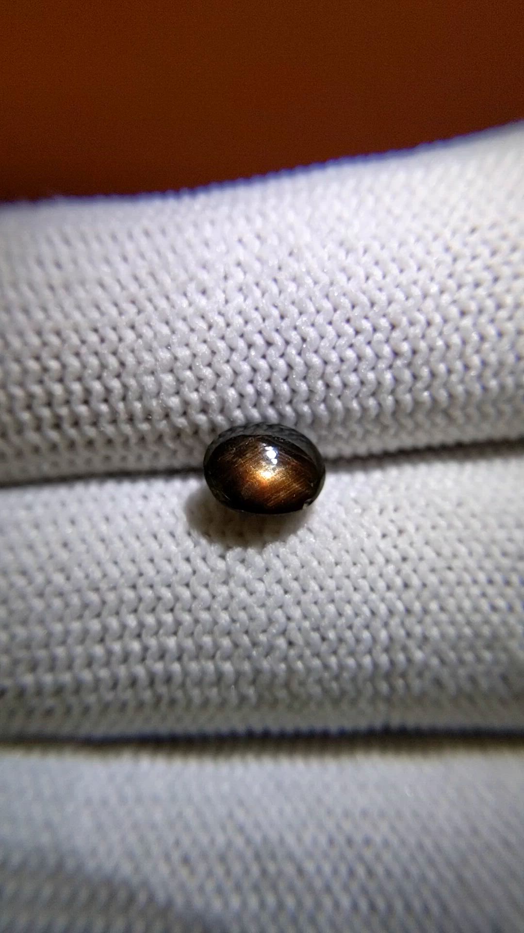 1.57 Ct. Black Cabochon Star Sapphire from Ceylon (Sri Lanka) Size Video