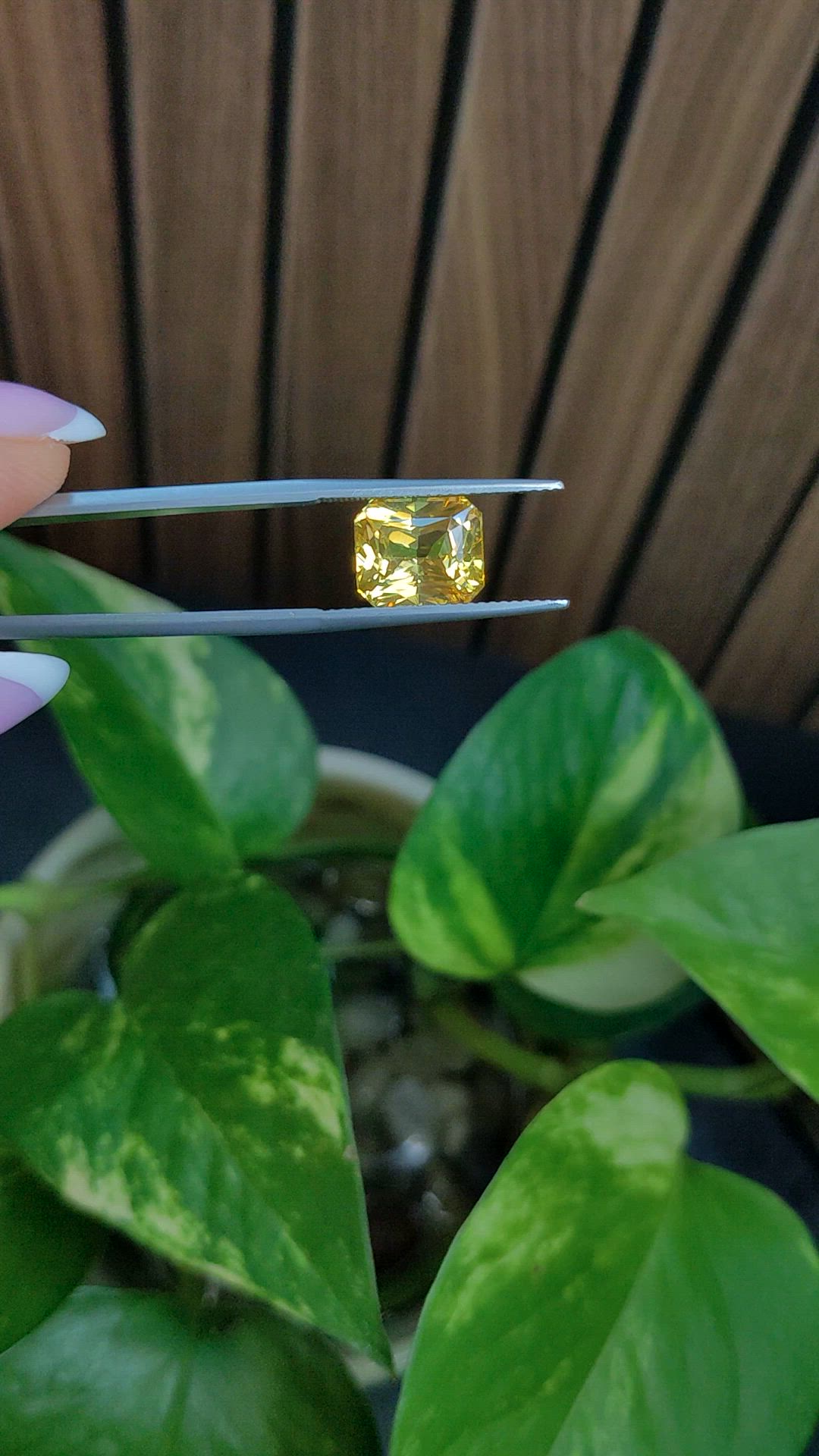 5.14 Ct. Yellow Sapphire from Ceylon (Sri Lanka) Size Video