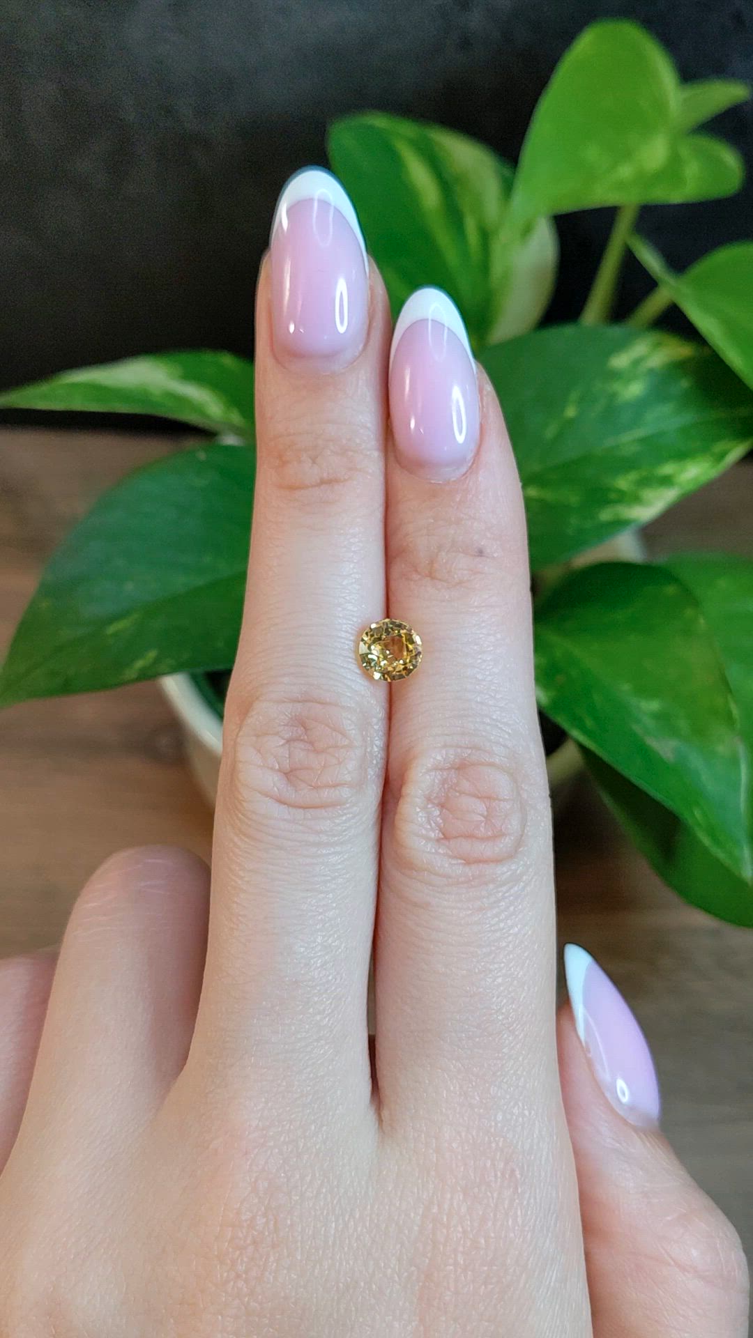 1.84 Ct. Yellow Sapphire from Ceylon (Sri Lanka) Size Video
