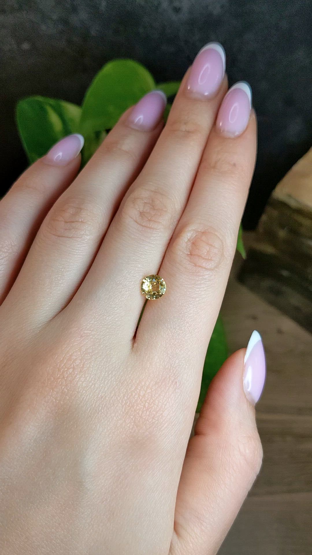 1.84 Ct. Yellow Sapphire from Ceylon (Sri Lanka) Size Video