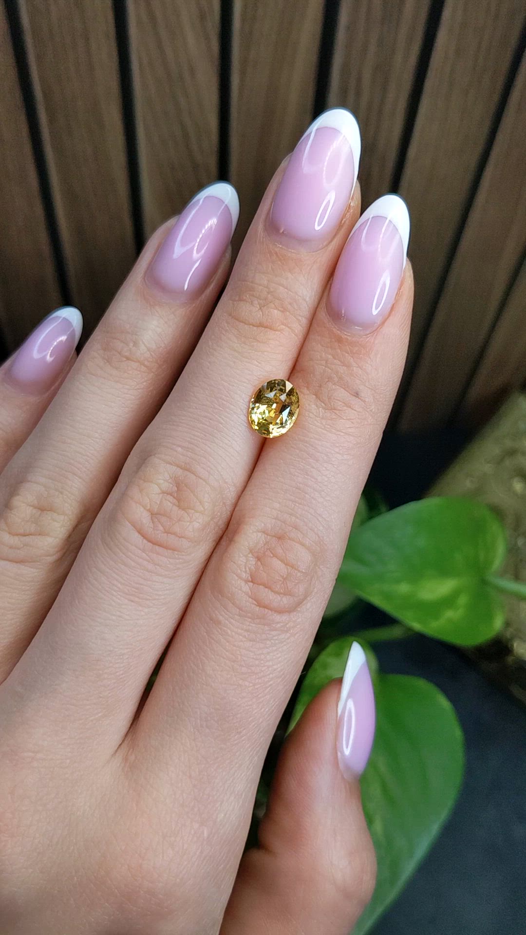 2.50 Ct. Yellow Sapphire from Ceylon (Sri Lanka) Size Video