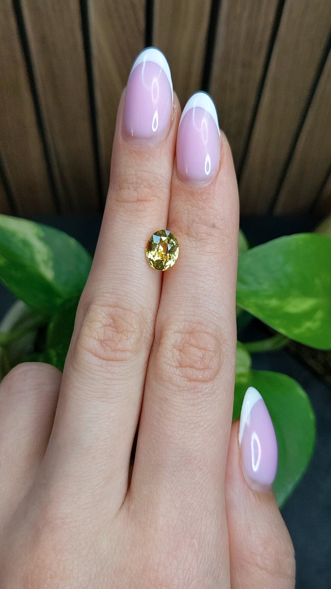 2.50 Ct. Yellow Sapphire from Ceylon (Sri Lanka) Size Video