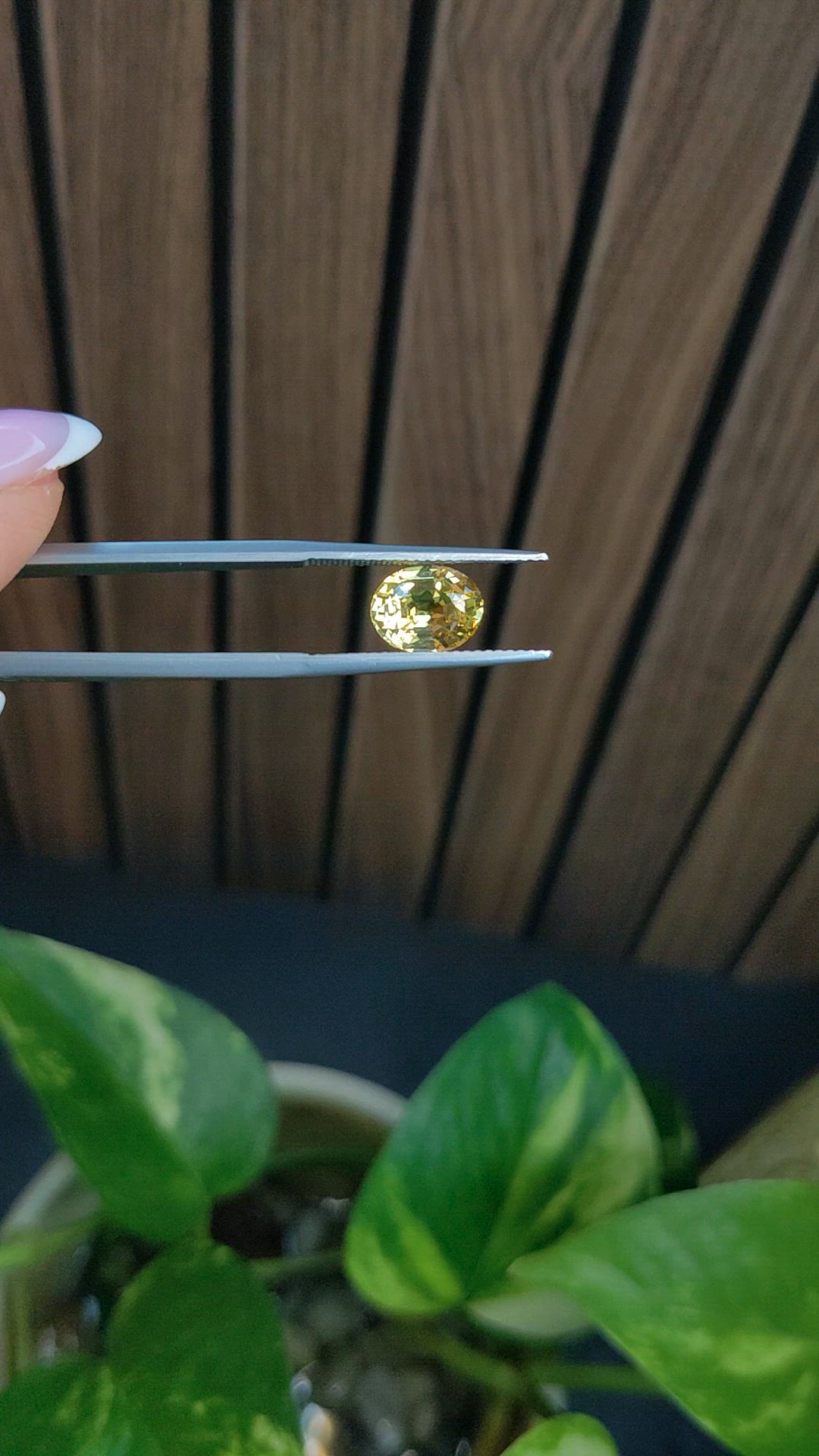 2.50 Ct. Yellow Sapphire from Ceylon (Sri Lanka) Size Video