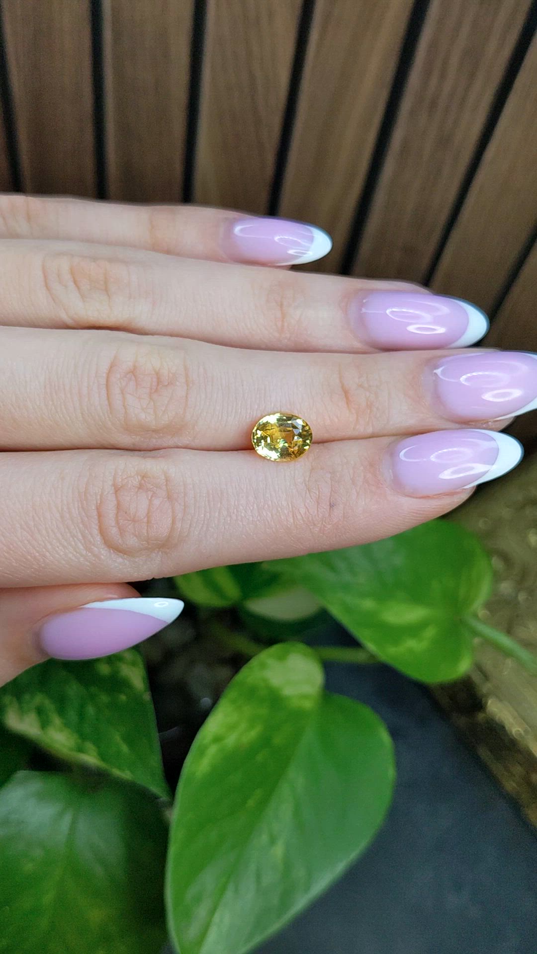 2.50 Ct. Yellow Sapphire from Ceylon (Sri Lanka) Size Video