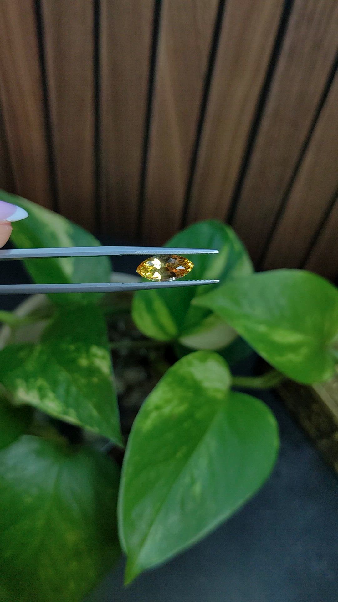 1.58 Ct. Yellow Sapphire from Ceylon (Sri Lanka) Size Video