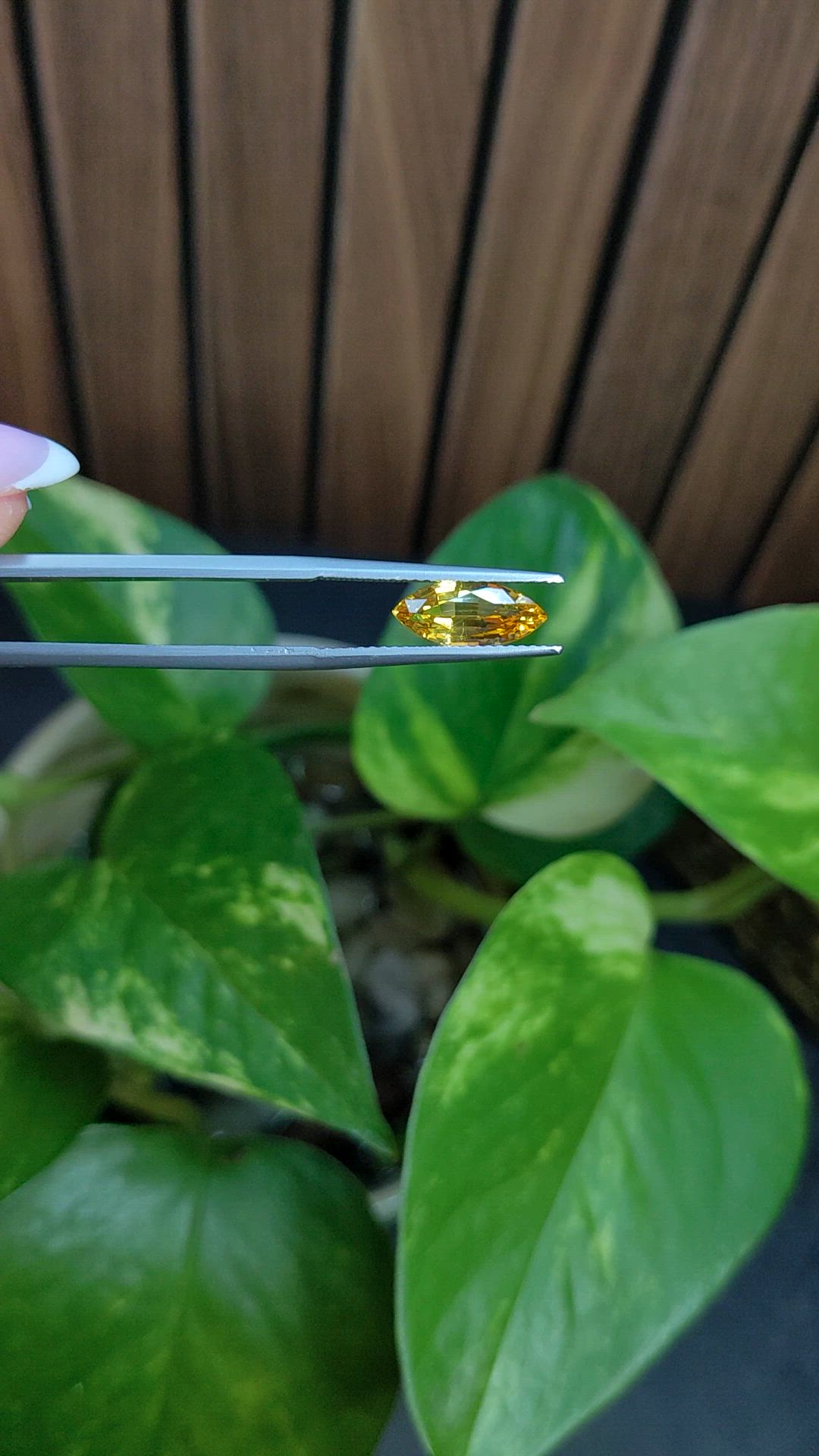 2.03 Ct. Yellow Sapphire from Ceylon (Sri Lanka) Size Video