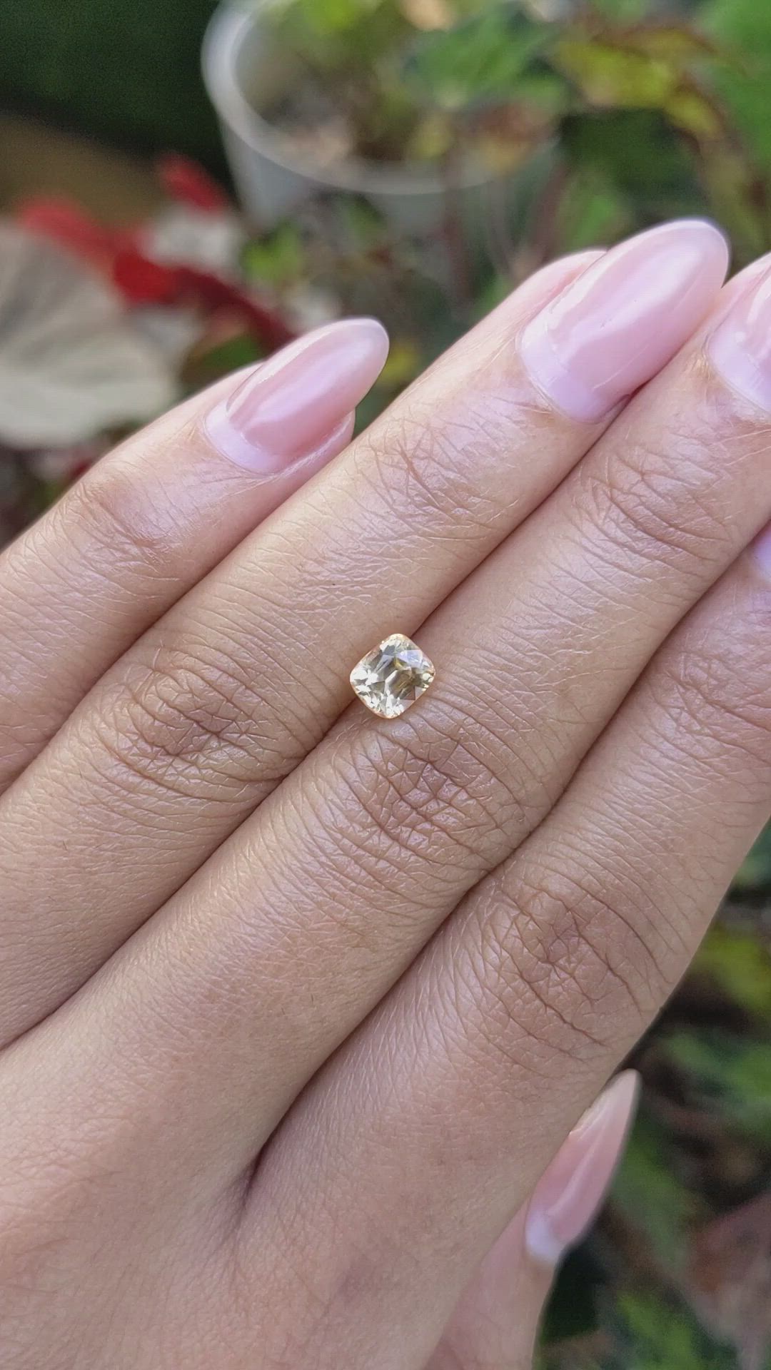1.26 Ct. Yellow Sapphire from Ceylon (Sri Lanka) Size Video
