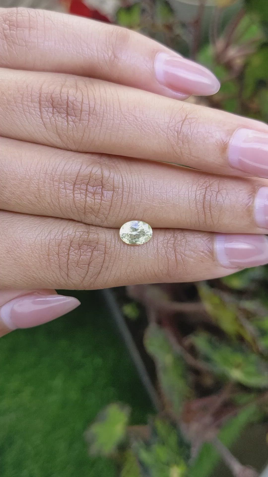 1.32 Ct. Greenish Yellow Sapphire from Ceylon (Sri Lanka) Size Video