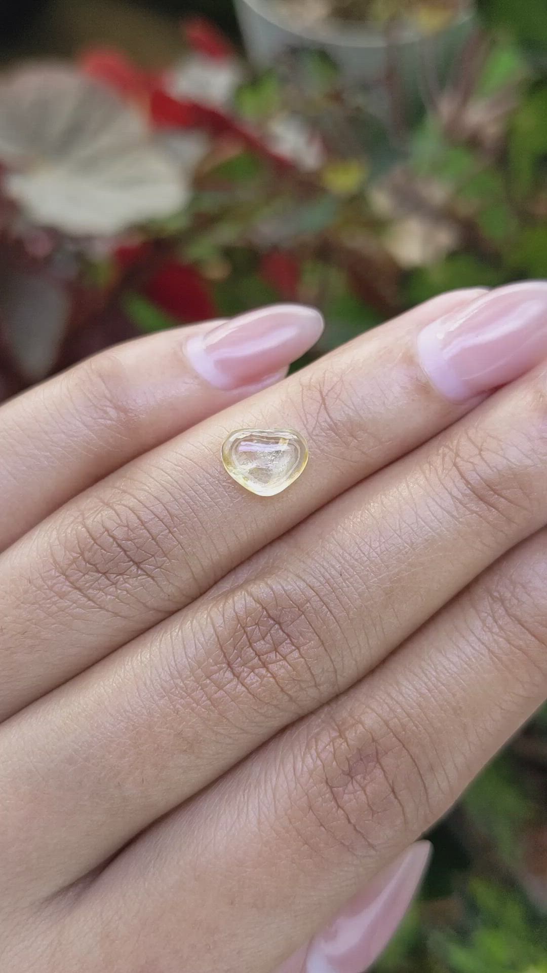 1.79 Ct. Yellow Cabochon Sapphire from Ceylon (Sri Lanka) Size Video
