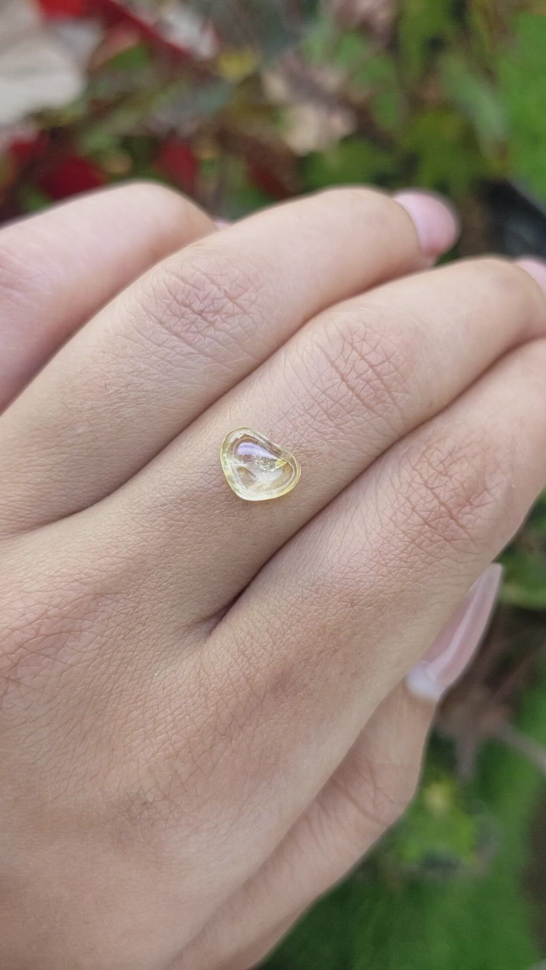1.79 Ct. Yellow Cabochon Sapphire from Ceylon (Sri Lanka) Size Video