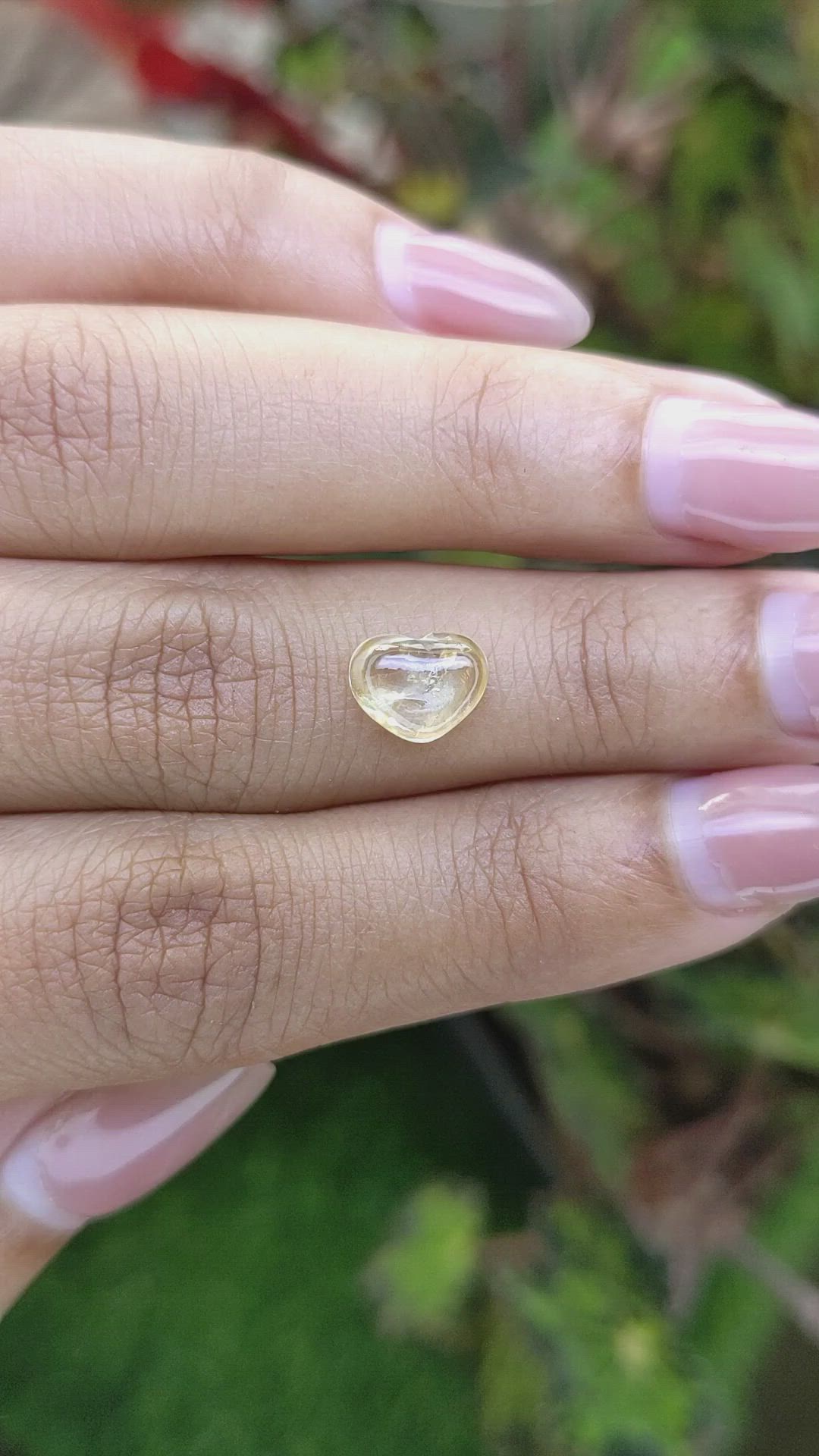 1.79 Ct. Yellow Cabochon Sapphire from Ceylon (Sri Lanka) Size Video