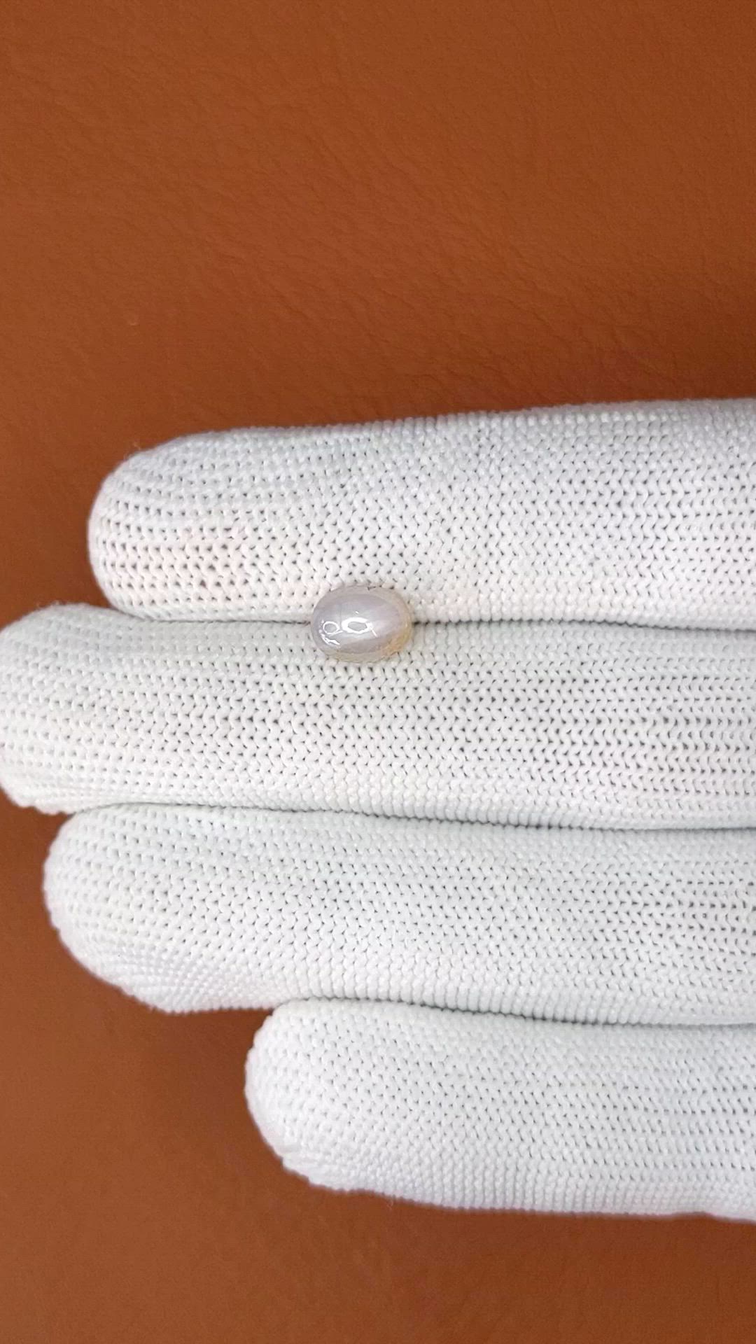 2.67 Ct. Grey Cabochon Star Sapphire from Ceylon (Sri Lanka) Size Video