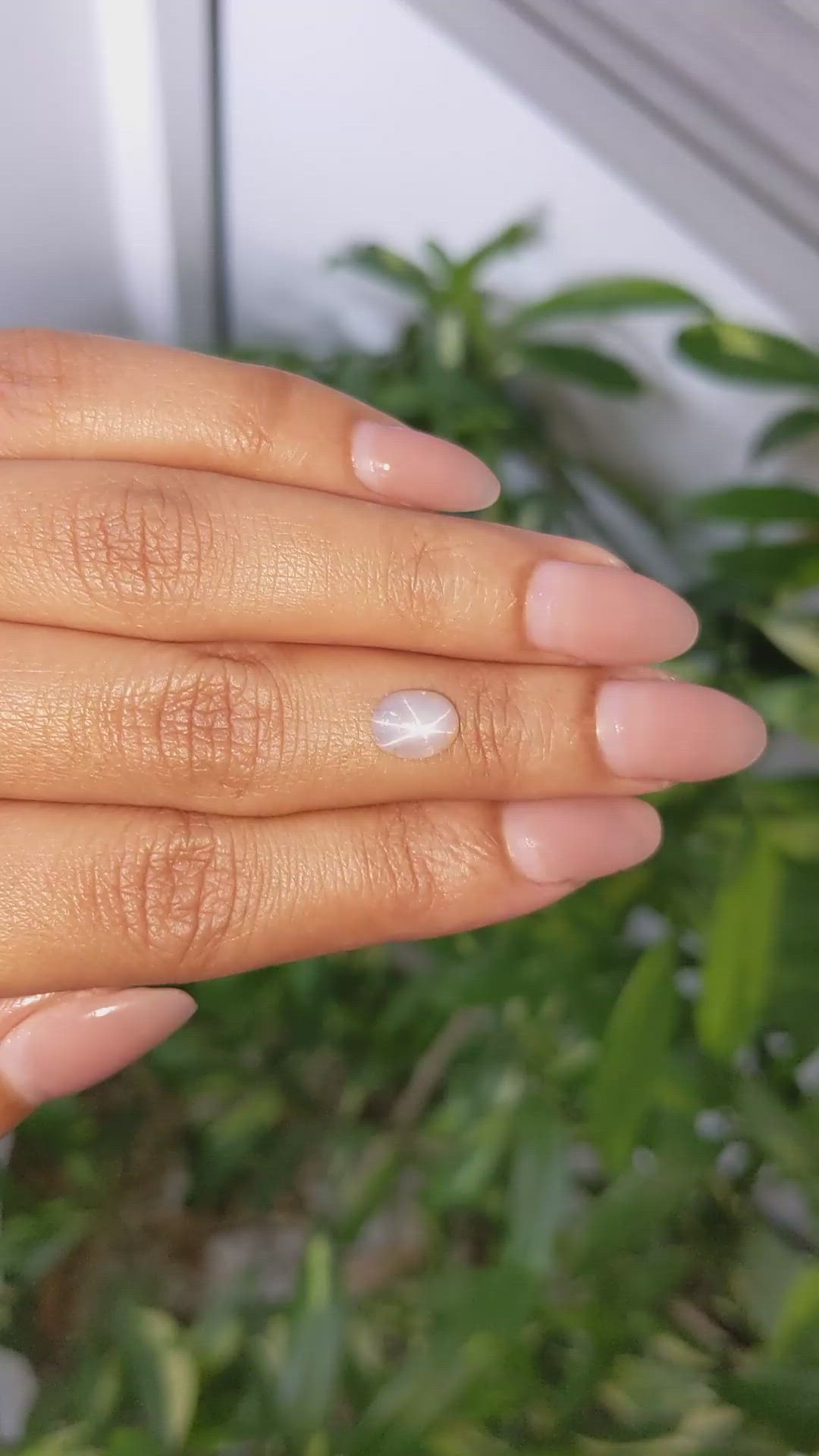 2.67 Ct. Grey Cabochon Star Sapphire from Ceylon (Sri Lanka) Size Video