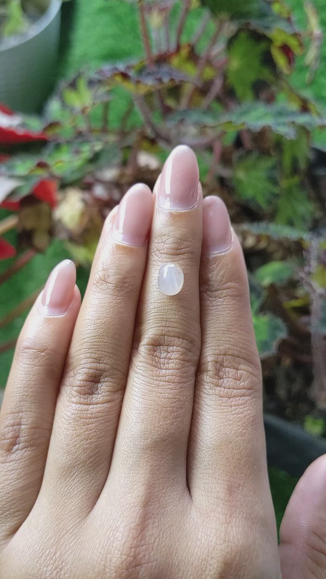 2.67 Ct. Grey Cabochon Star Sapphire from Ceylon (Sri Lanka) Size Video