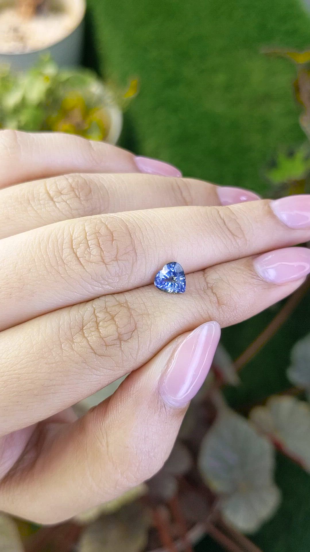 1.30 Ct. Bi Color / Parti Sapphire from Ceylon (Sri Lanka) Size Video