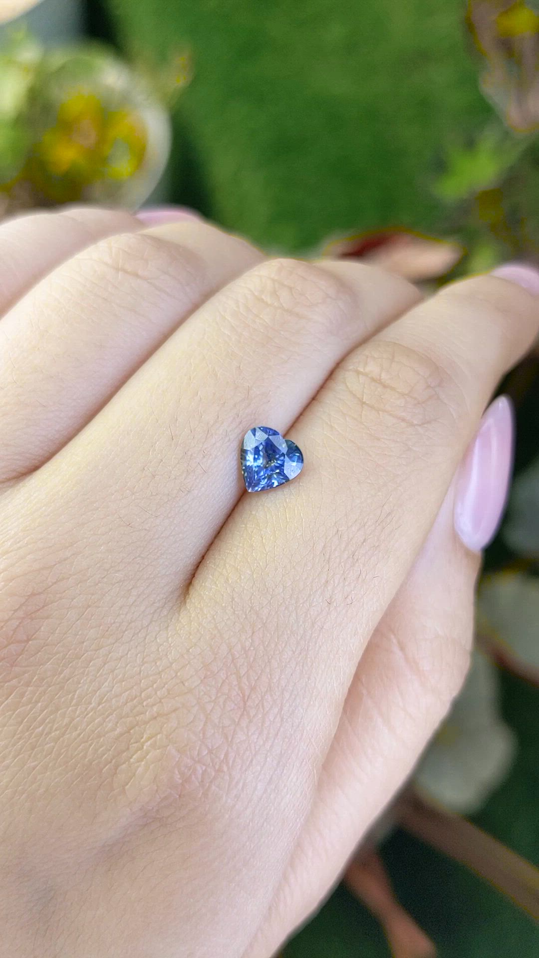 1.30 Ct. Bi Color / Parti Sapphire from Ceylon (Sri Lanka) Size Video