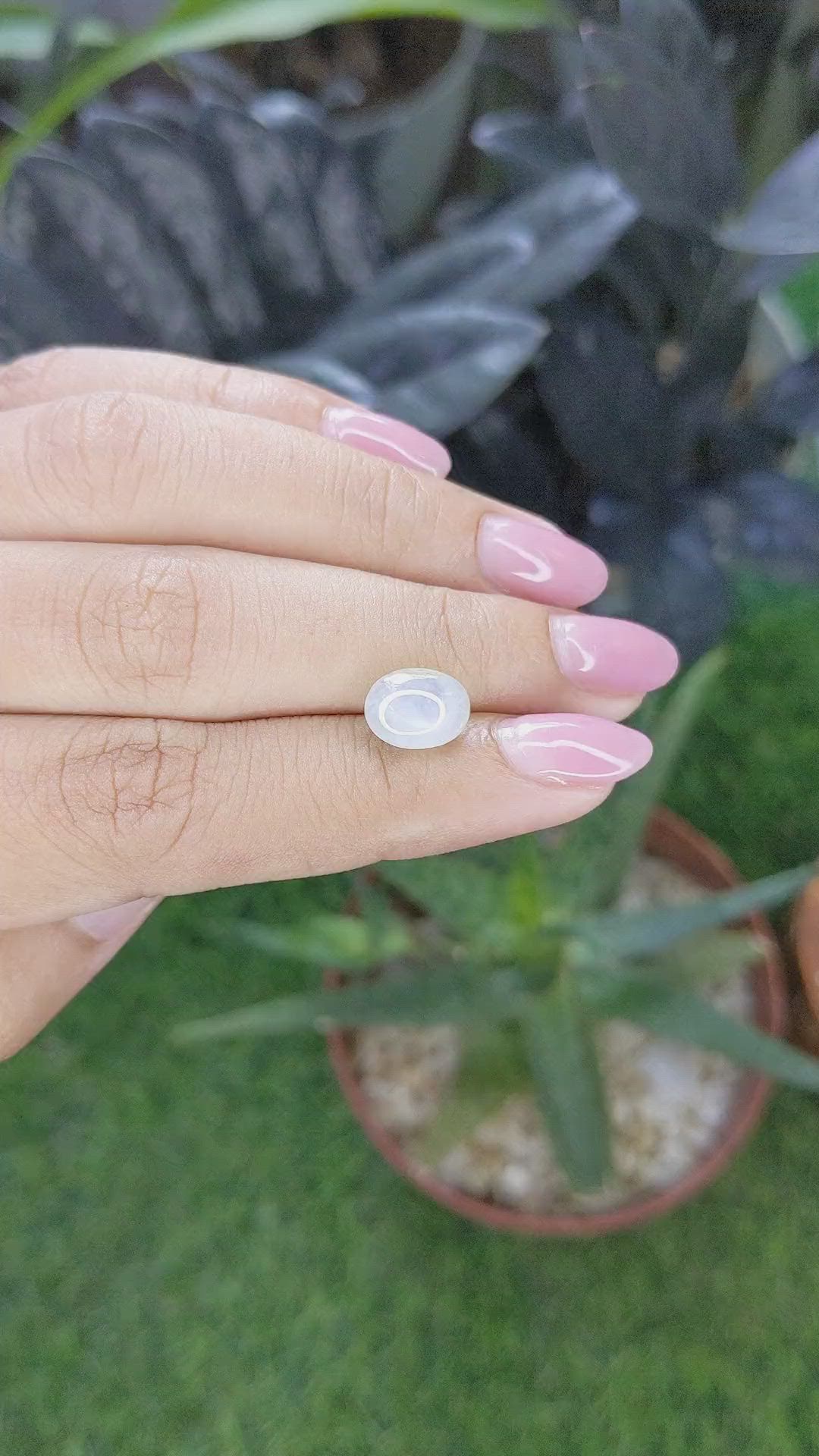 4.40 Ct. White Cabochon Star Sapphire from Ceylon (Sri Lanka) Size Video