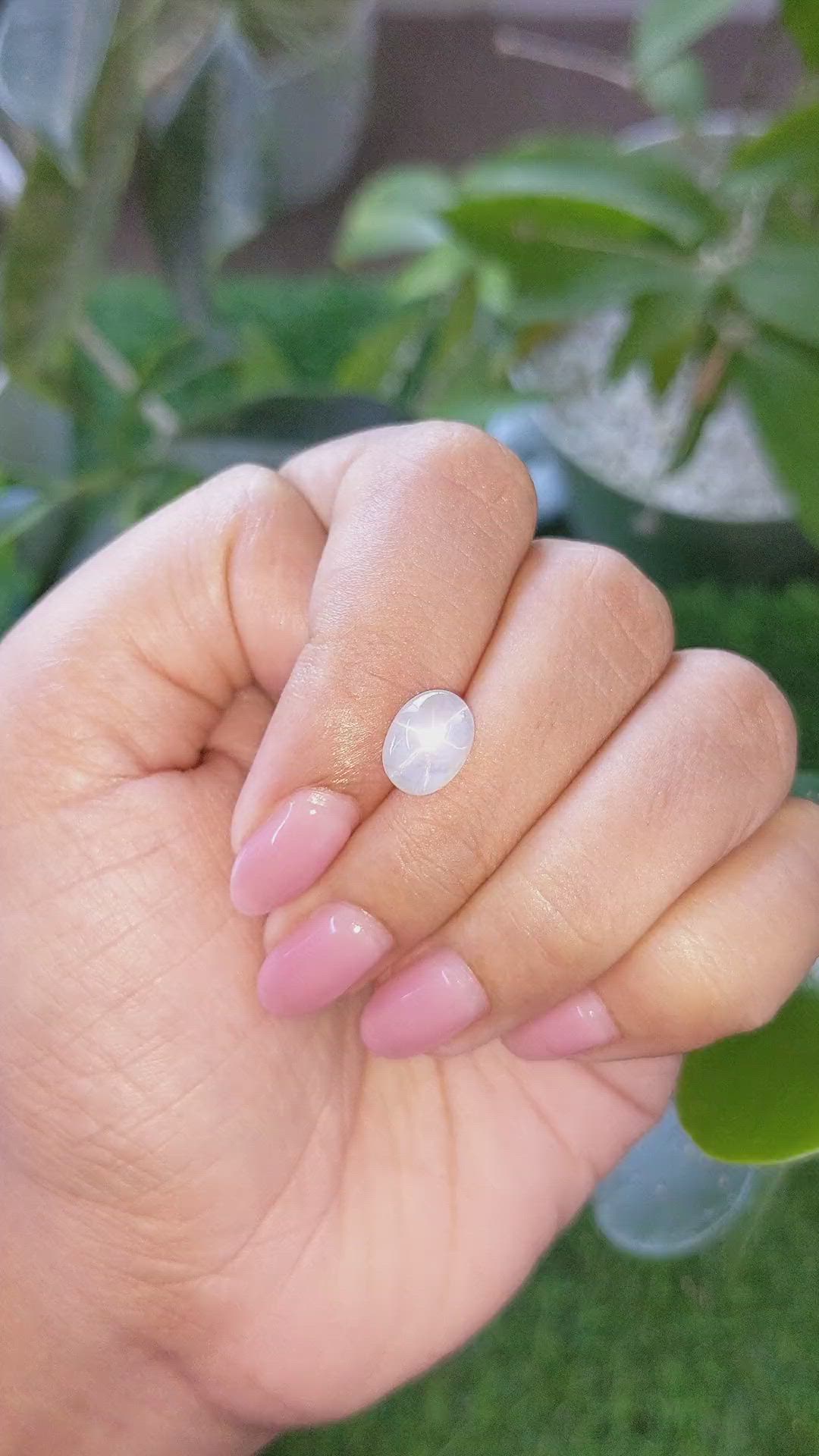 4.40 Ct. White Cabochon Star Sapphire from Ceylon (Sri Lanka) Size Video