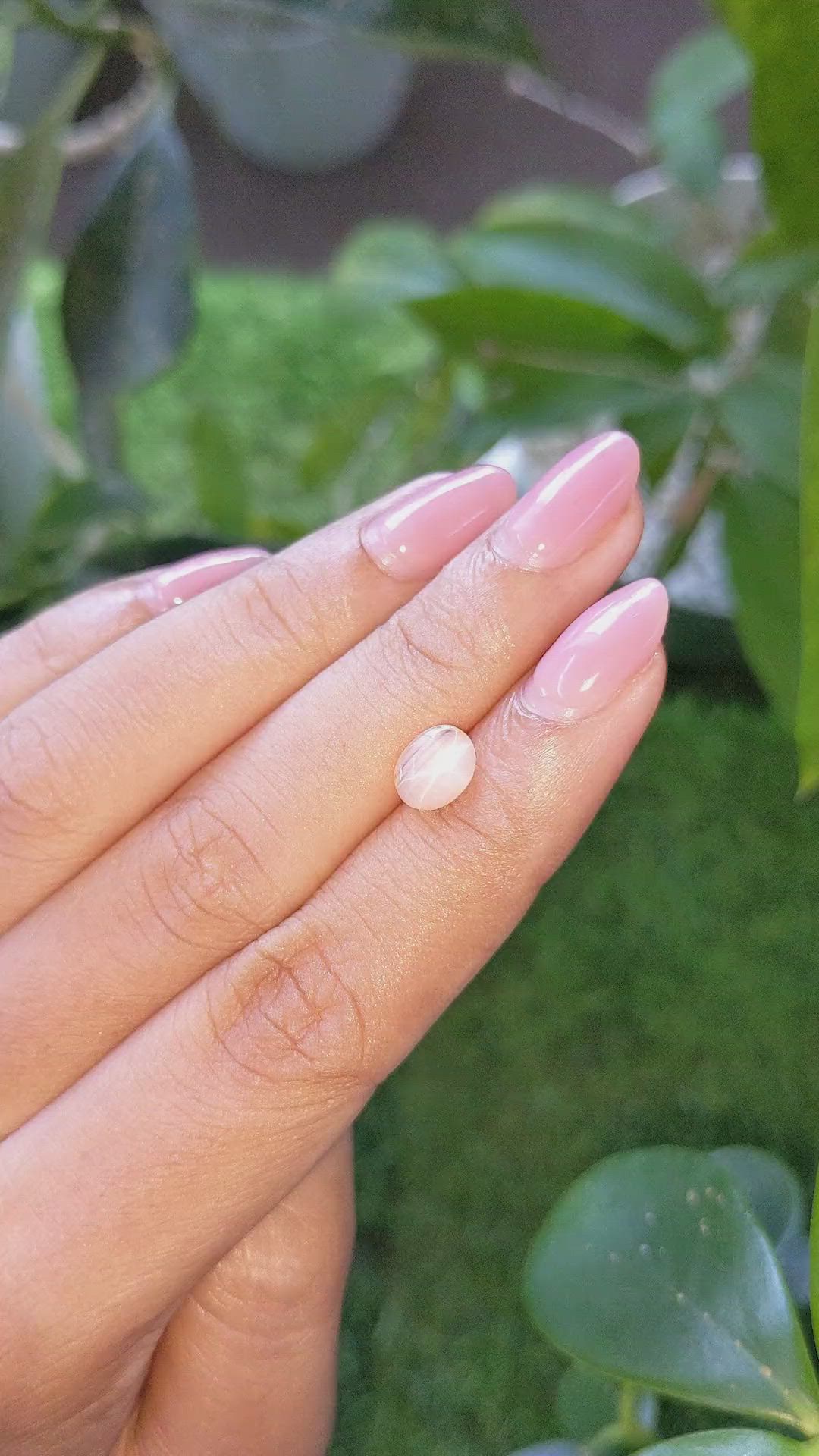 1.63 Ct. Peach Cabochon Star Sapphire from Ceylon (Sri Lanka) Size Video